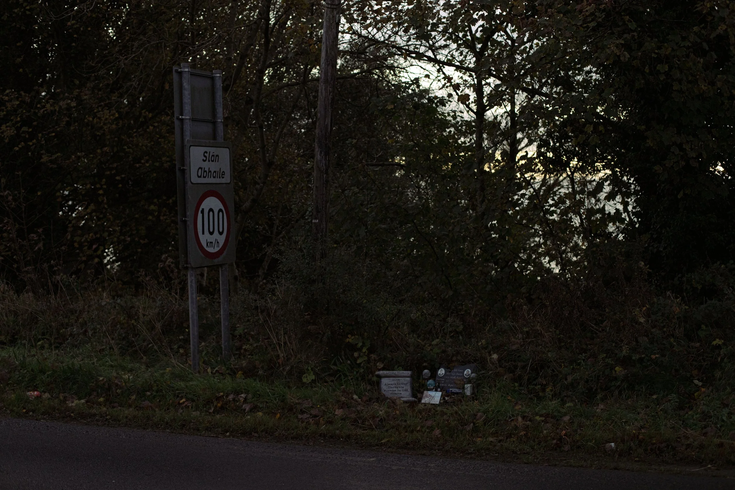 CarlinSamB0935206IMG_9749 copy.jpg