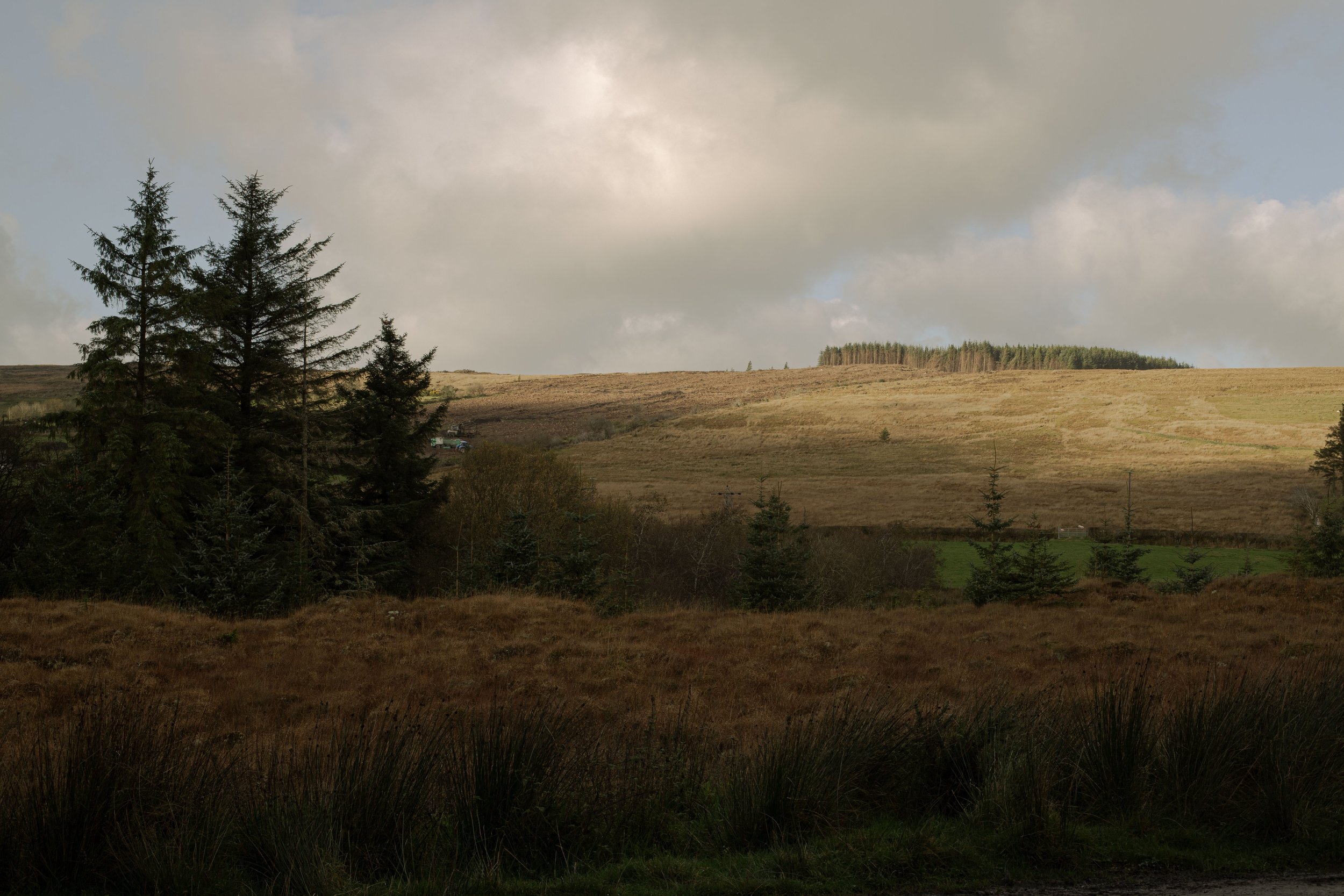 CarlinSamB00935206IMG_0059 copy.jpg