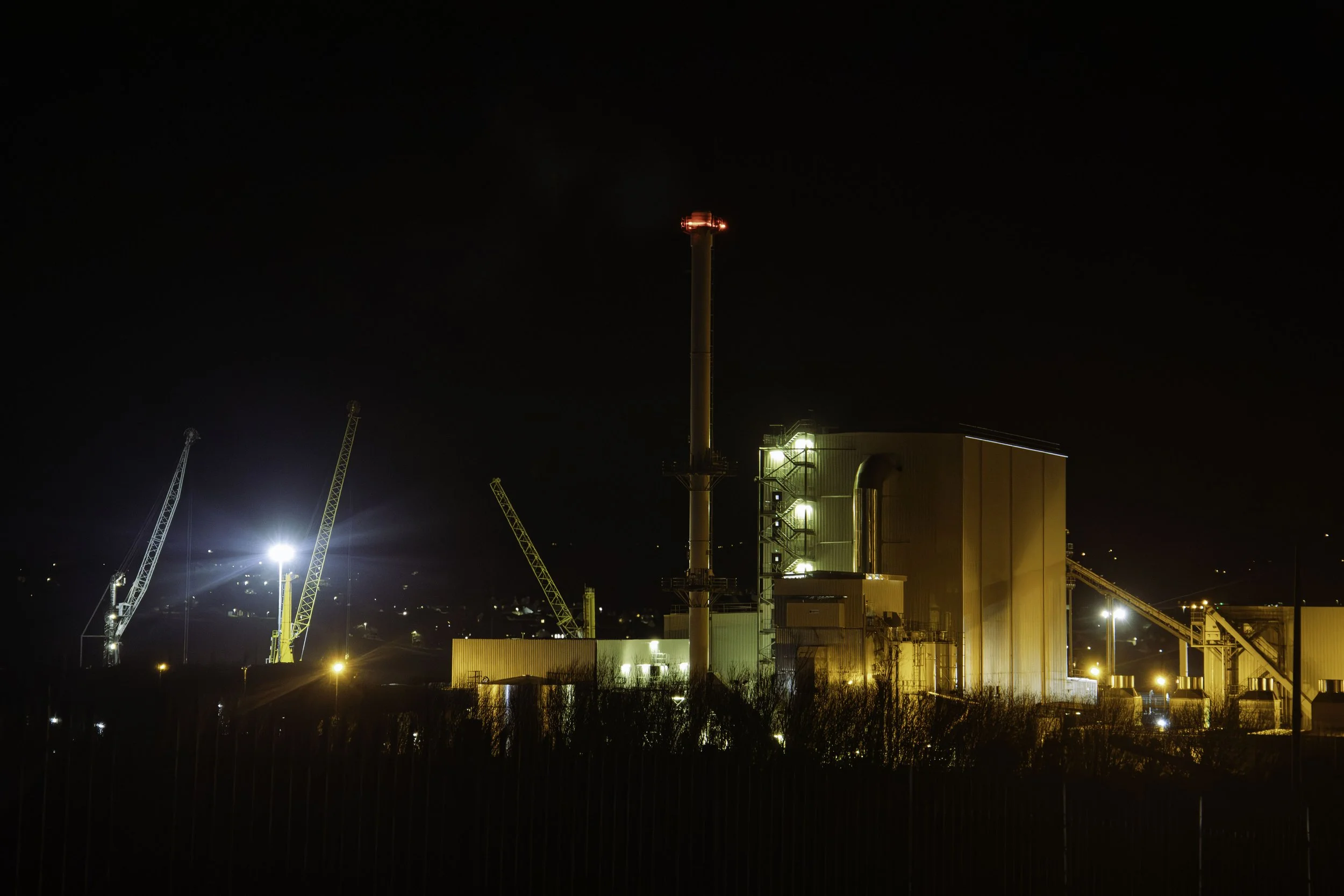 IMG_4089-Enhanced-NR copy 2.jpg