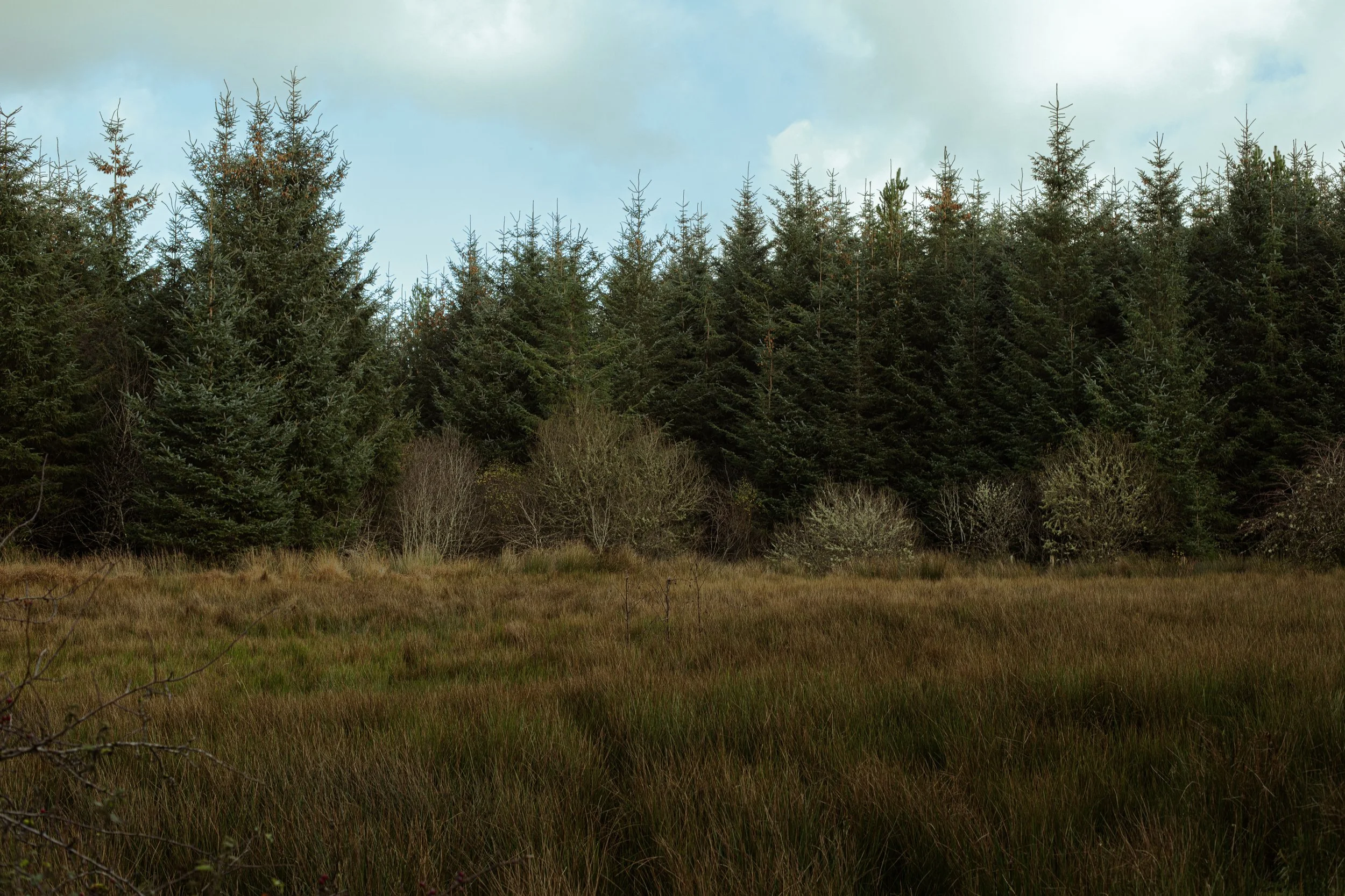 CarlinSamB00935206IMG_0066 copy.jpg