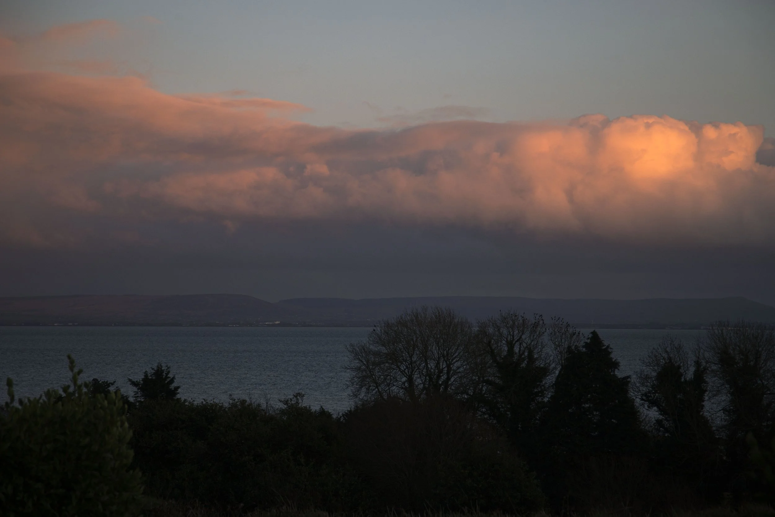 IMG_4155 (1) copy.jpg