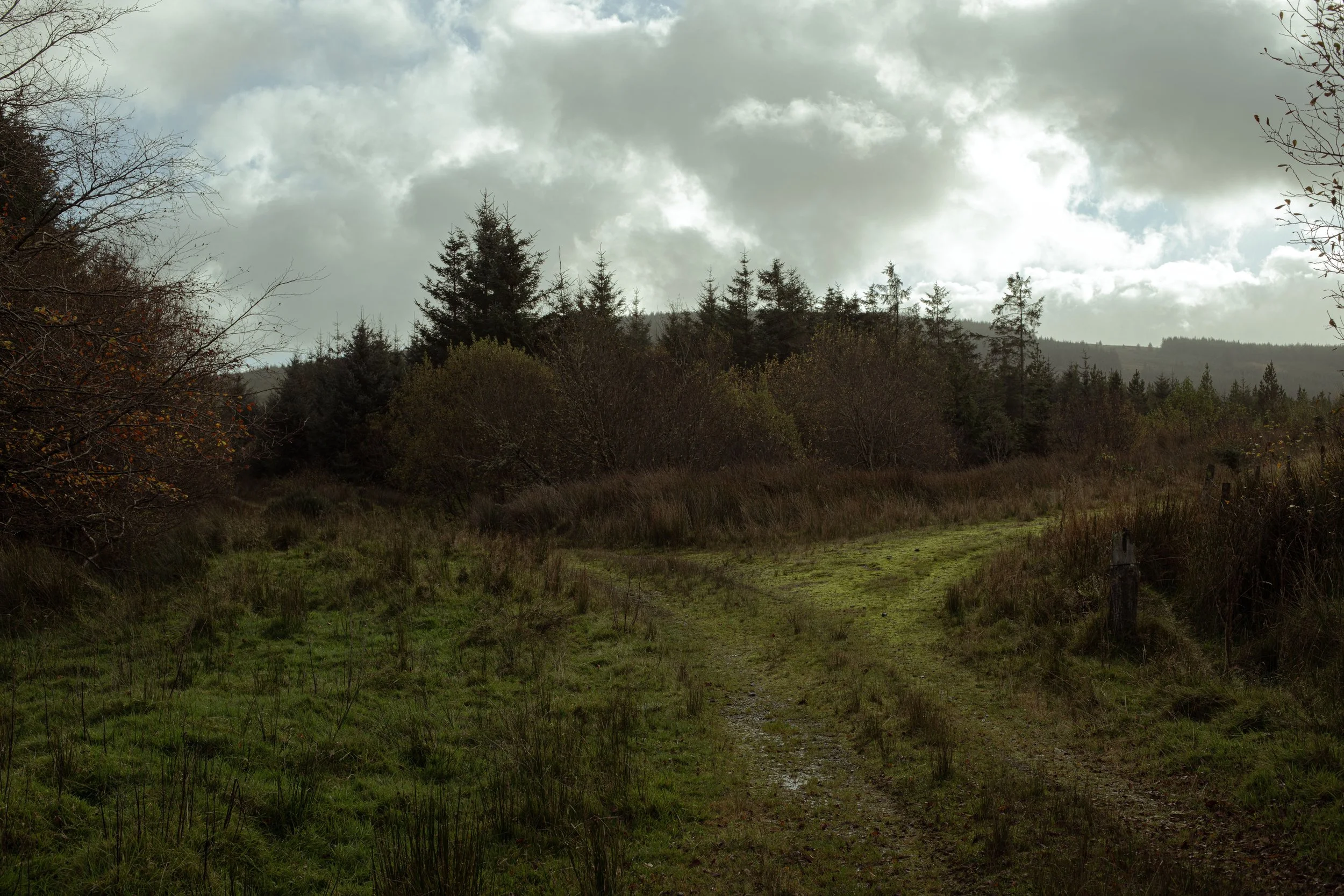 CarlinSamB00935206IMG_0075 copy.jpg