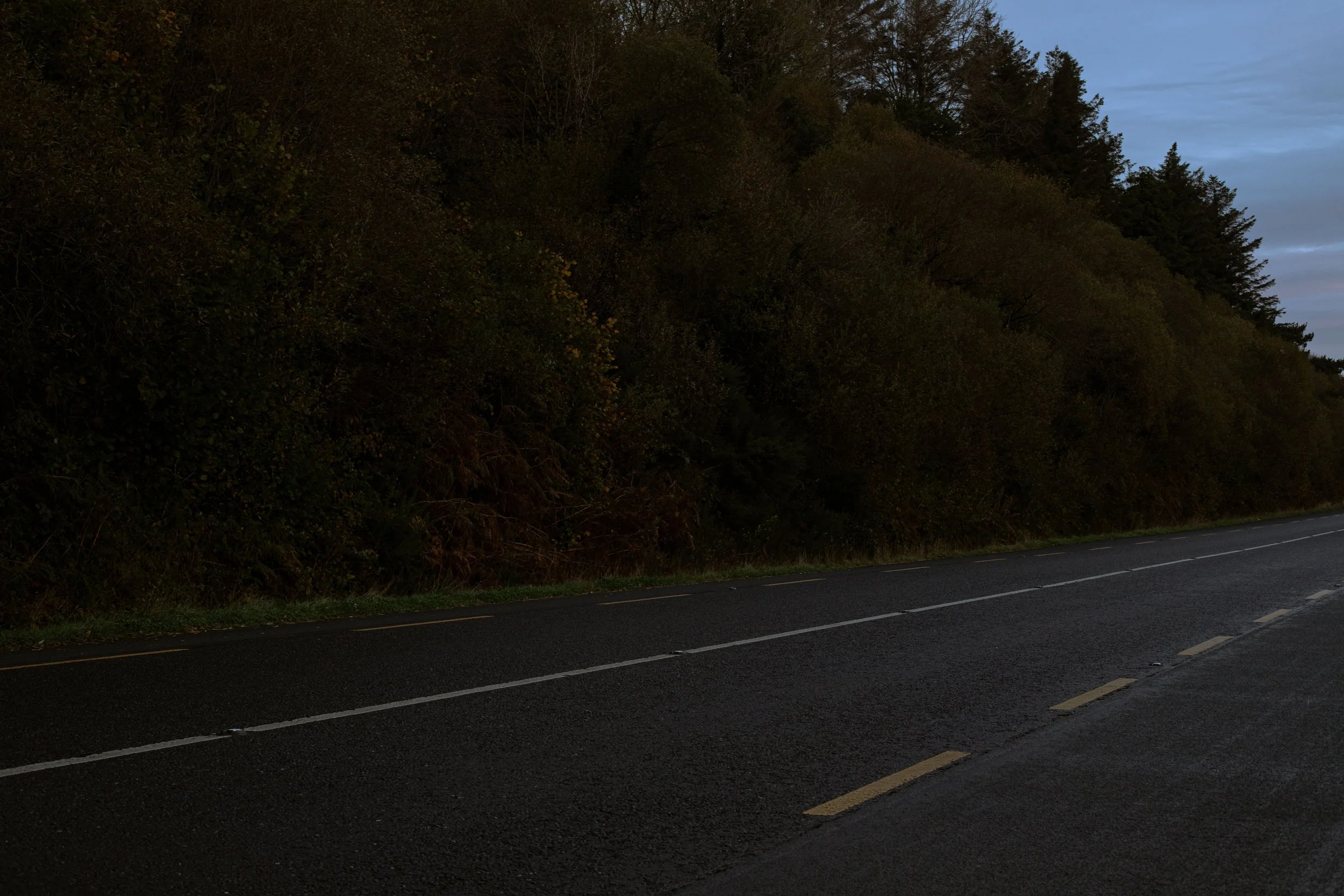 CarlinSamB00935206IMG_9782 copy.jpg