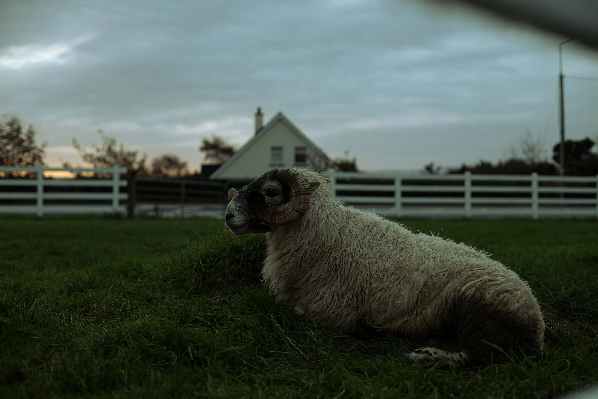 CarlinSamB00935206IMG_9804 copy.jpg