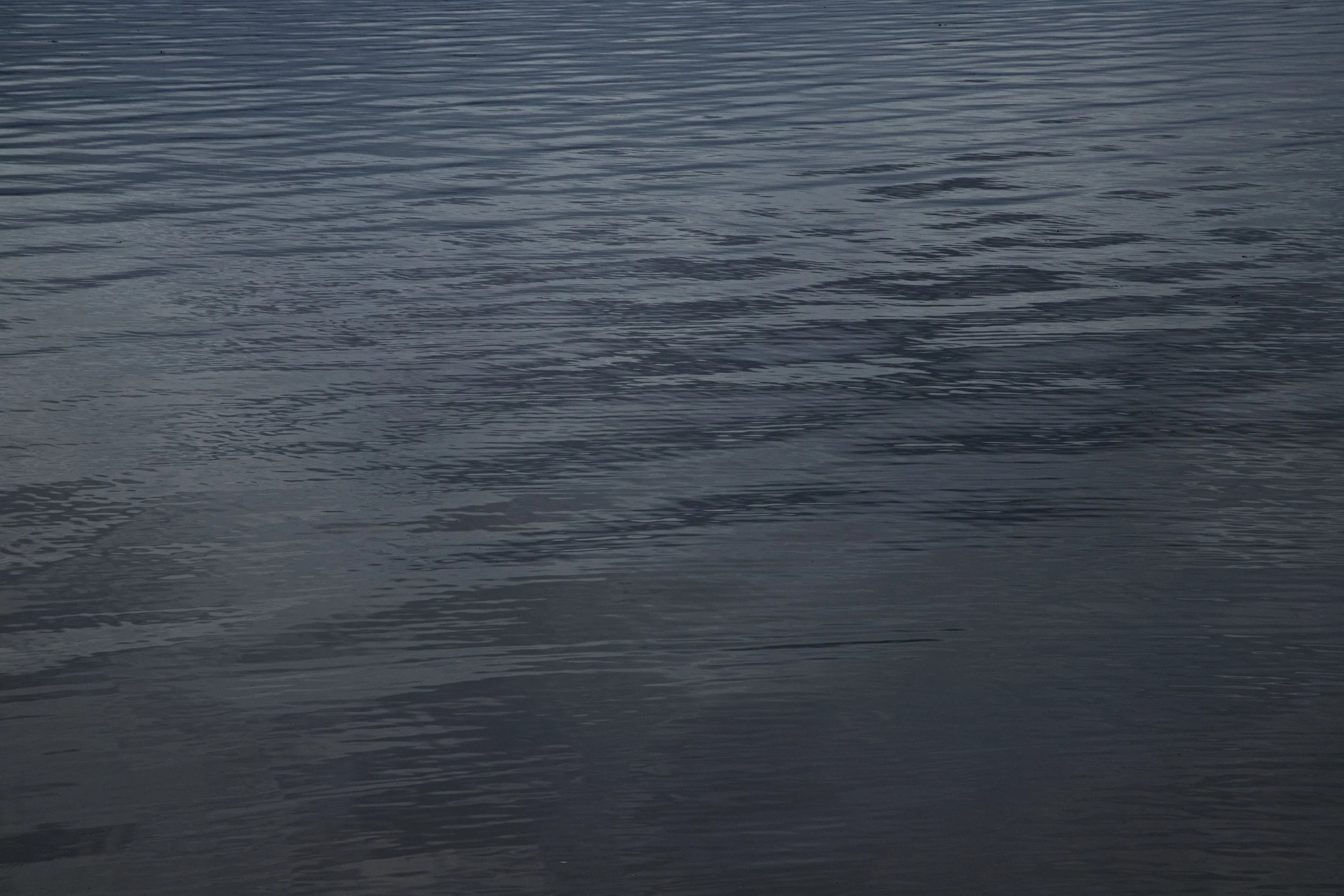 CarlinSamB00935206IMG_9623 copy.jpg