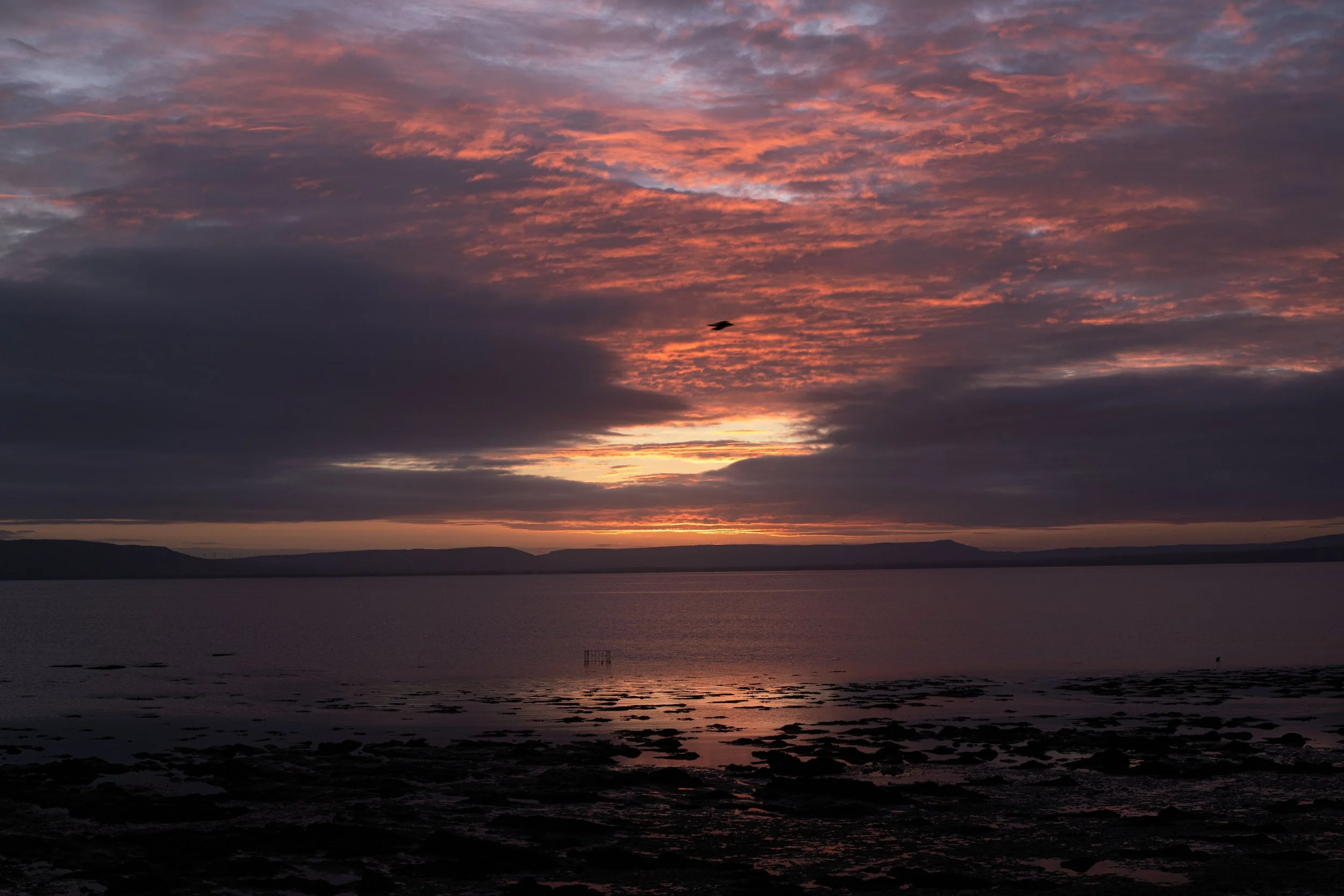 CarlinSamB00935206IMG_9780 copy.jpg