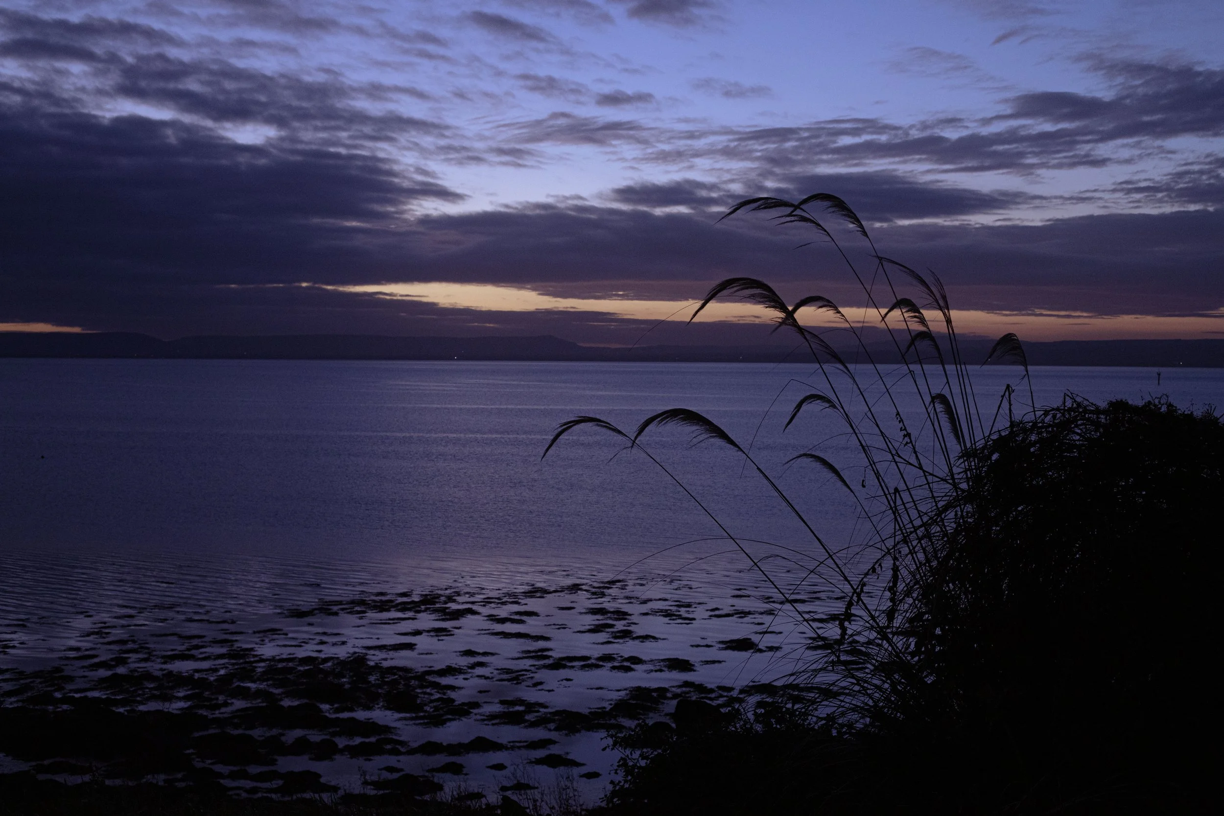 CarlinSamB00935206IMG_9711 copy.jpg