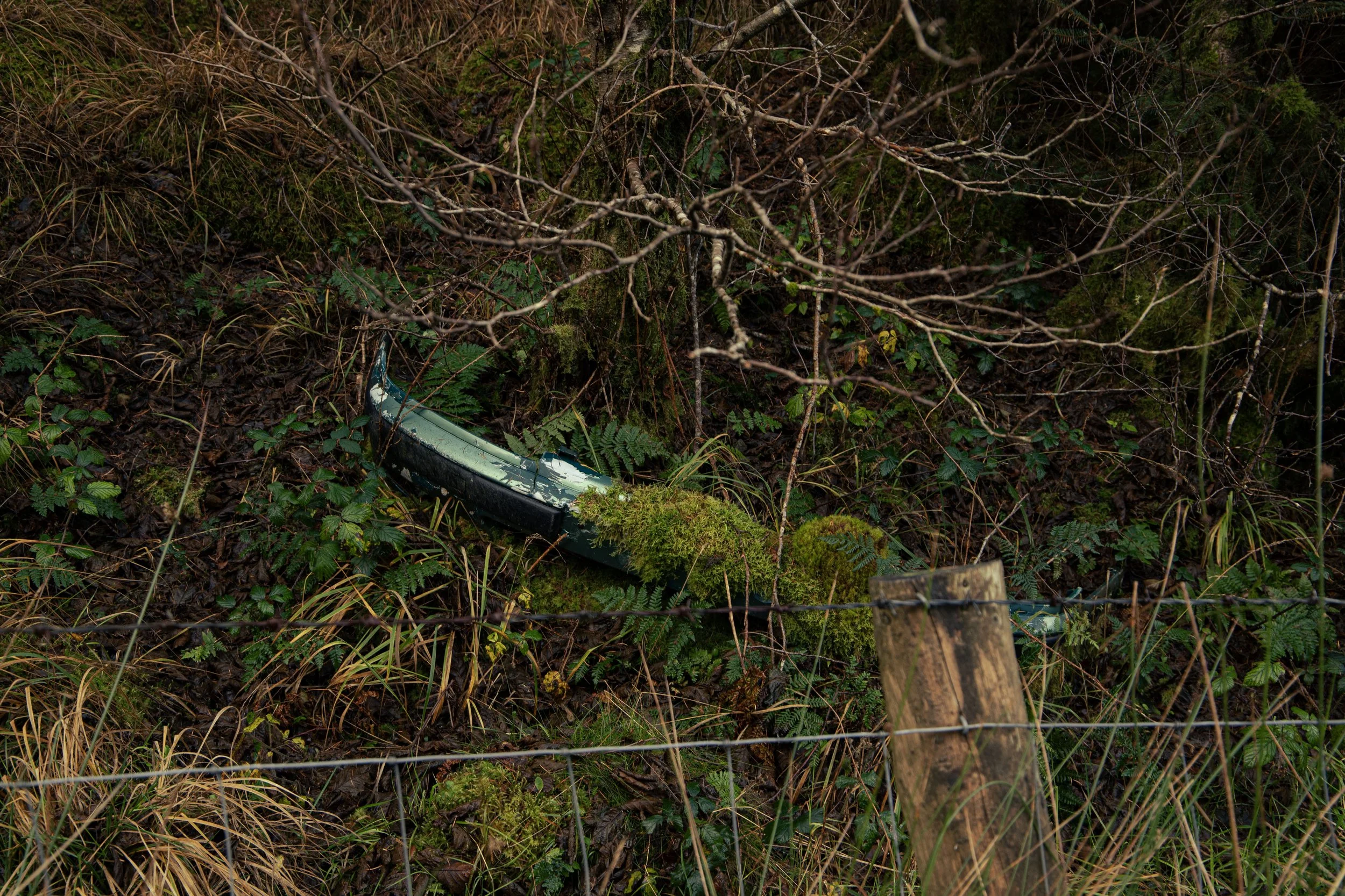 CarlinSamB0935206IMG_0089 copy.jpg