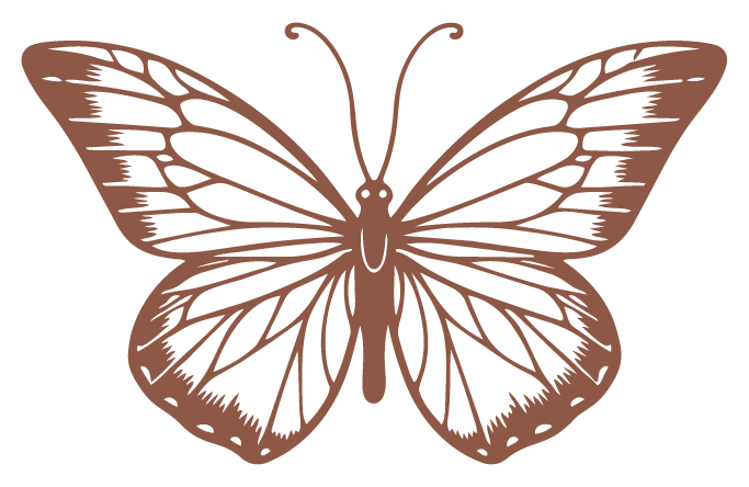 A detailed illustration of a butterfly with open wings, drawn in brown.