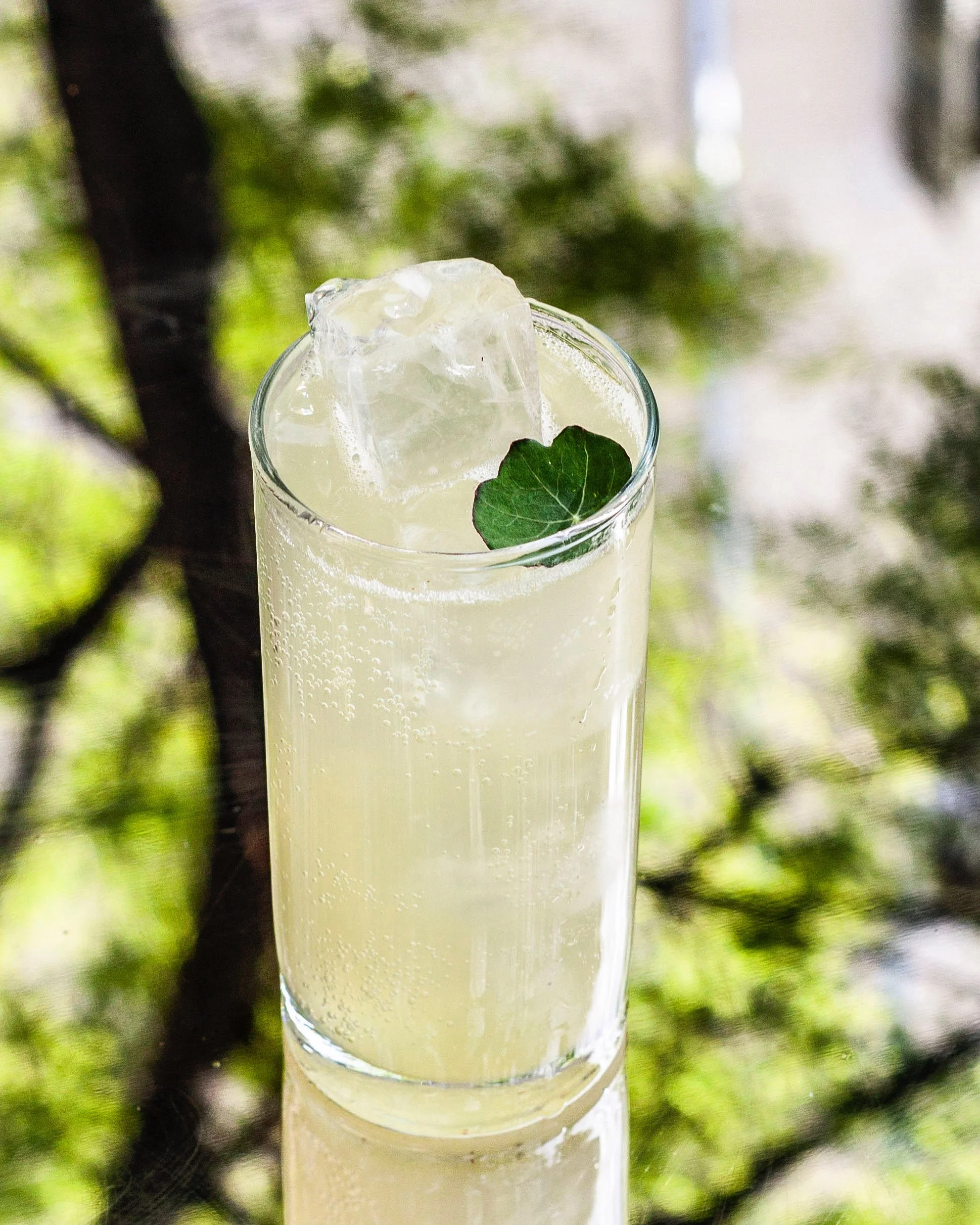 Une boisson rafraîchissante dans un verre transparent, garnie d'une feuille verte et de glaçons, avec un arrière-plan flou de feuilles vertes.