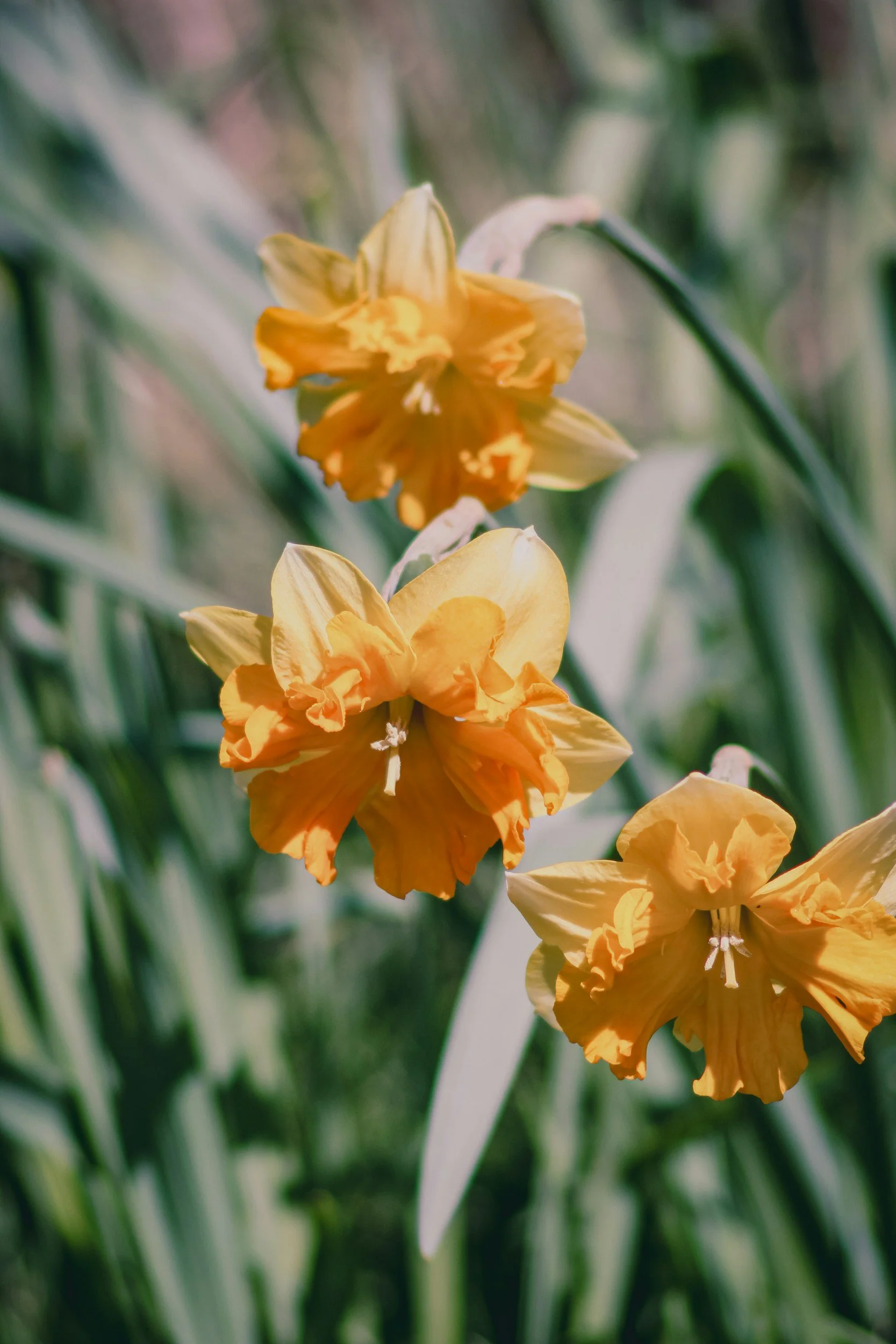 Spring is Here!