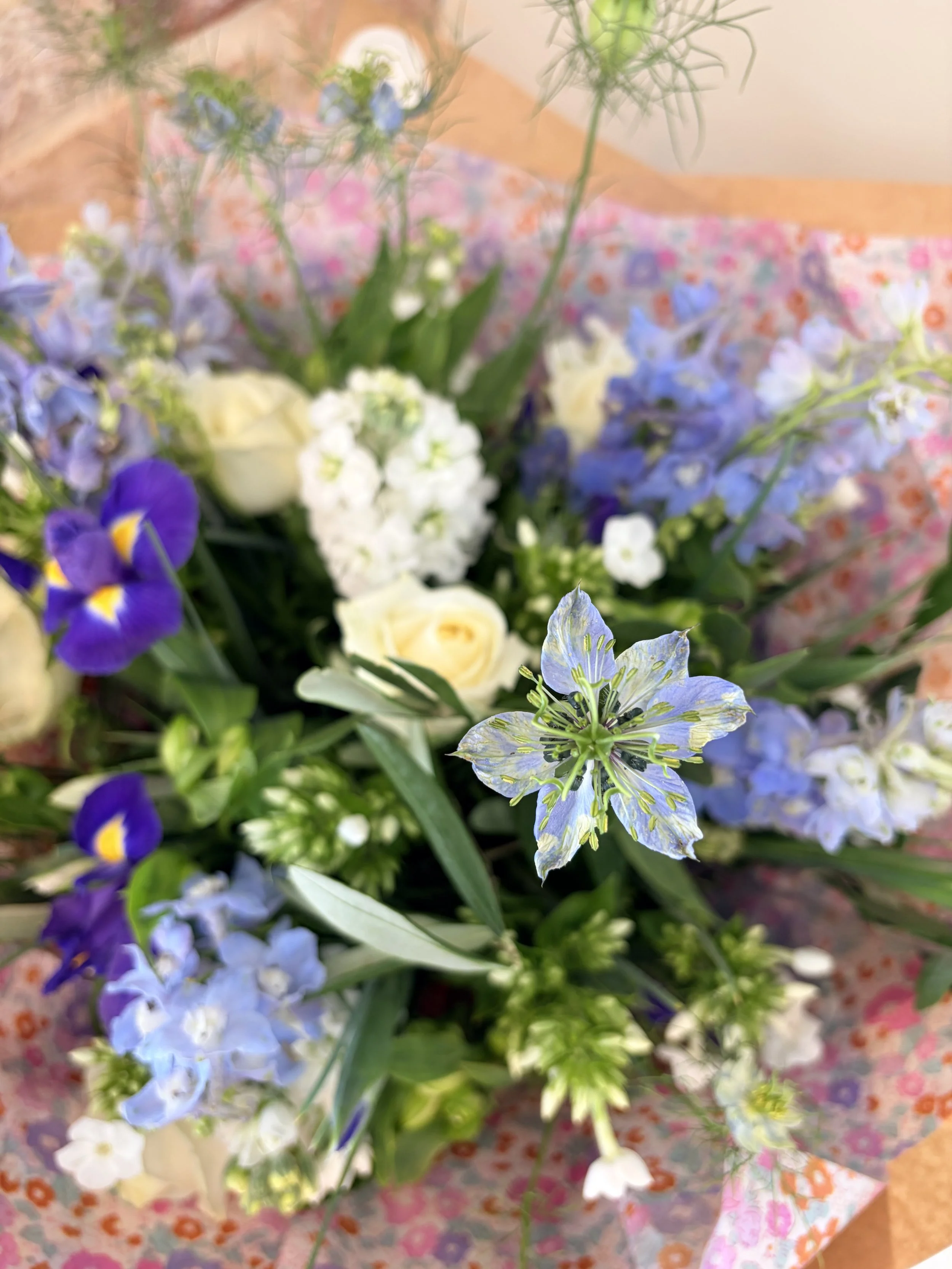 Delicate Nigella, one of the very few naturally blue flowers 💙🤍