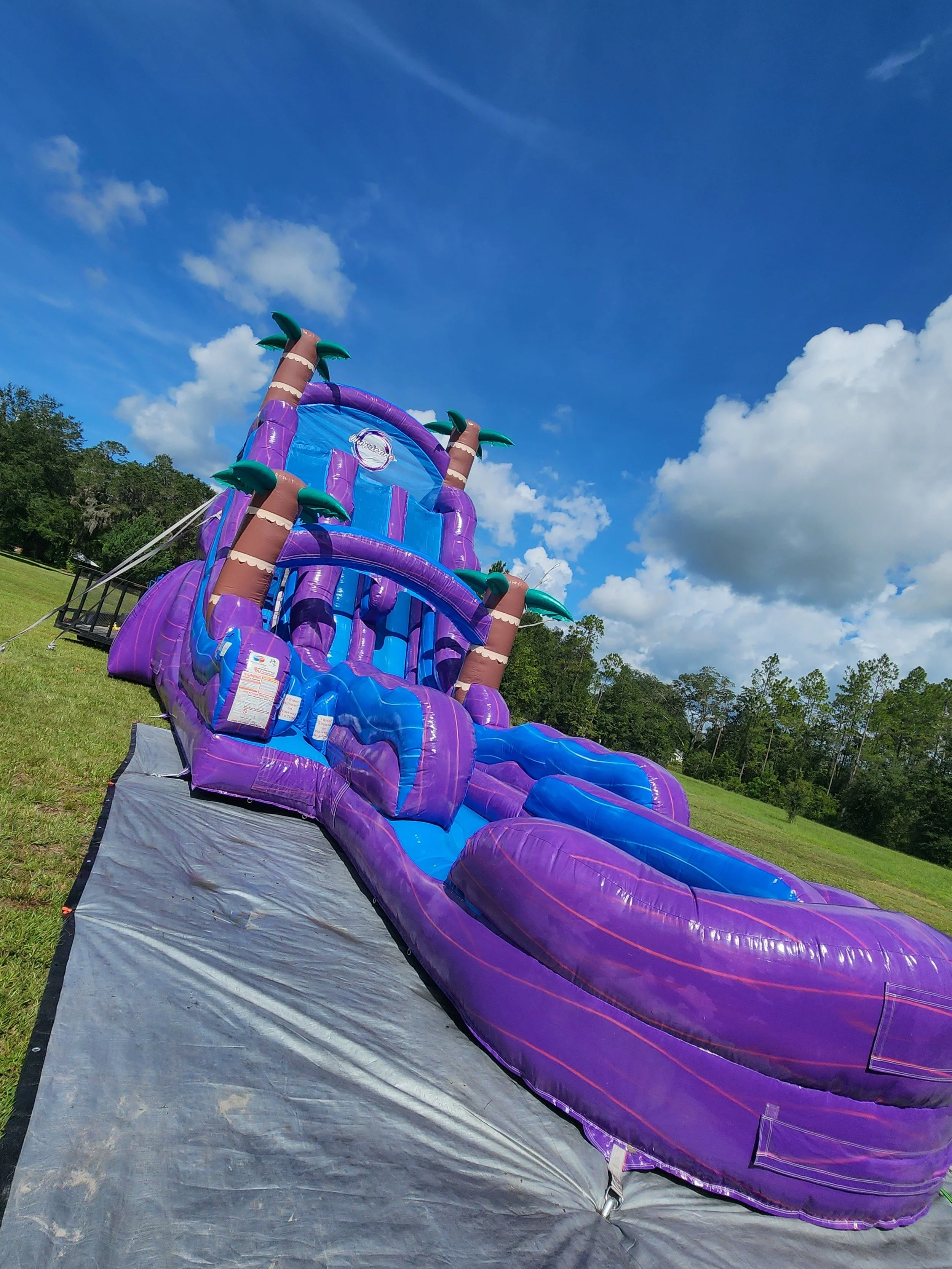 22ft Purple Hurricane