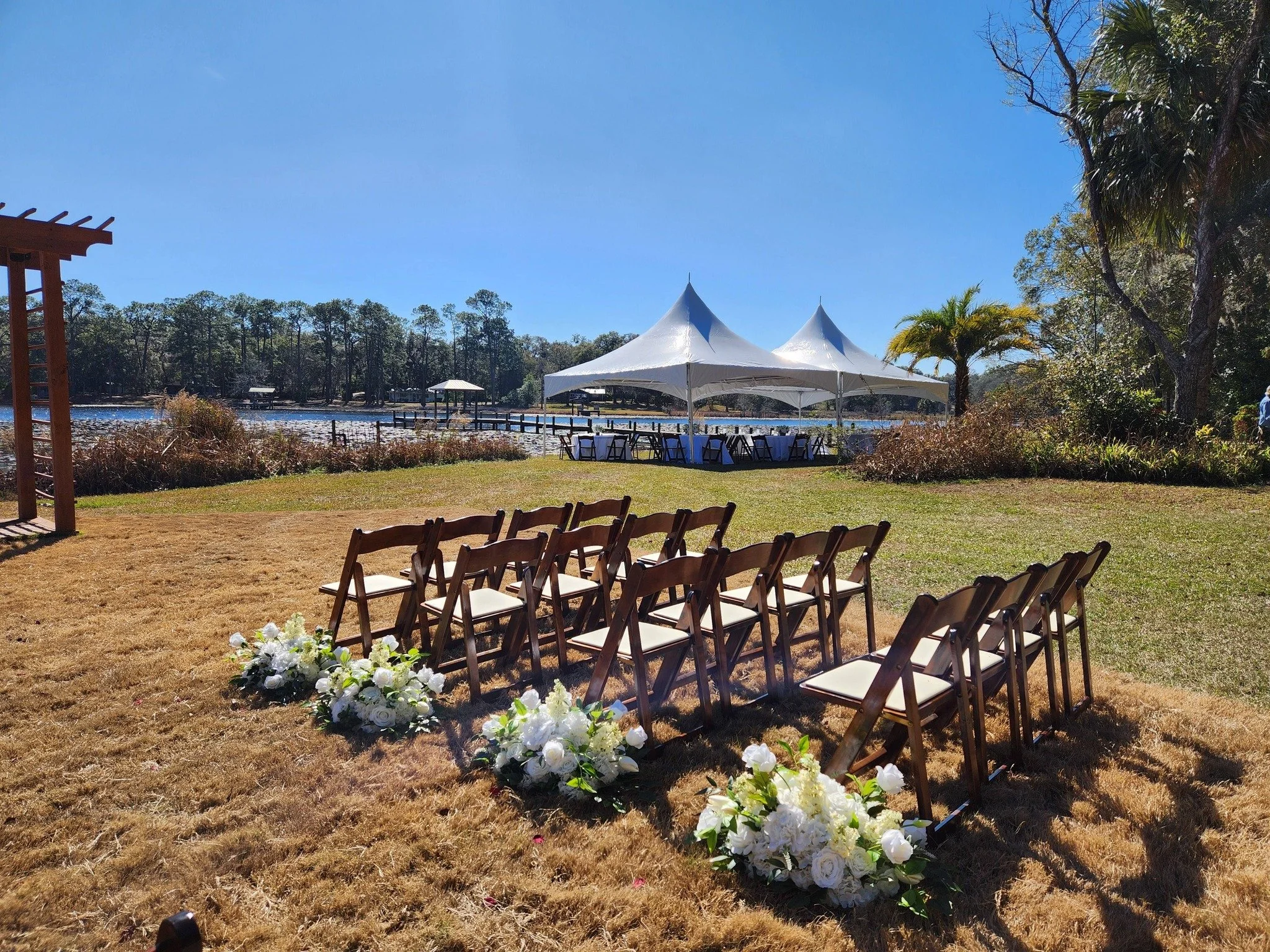 Beautiful Fruitwood Chairs
