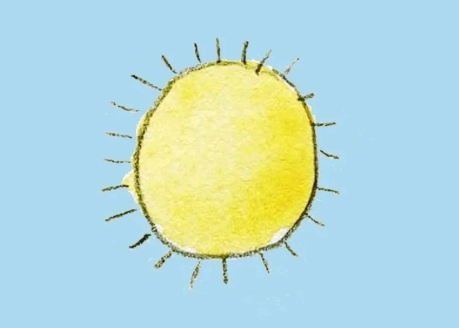 Sunday Morning Studio