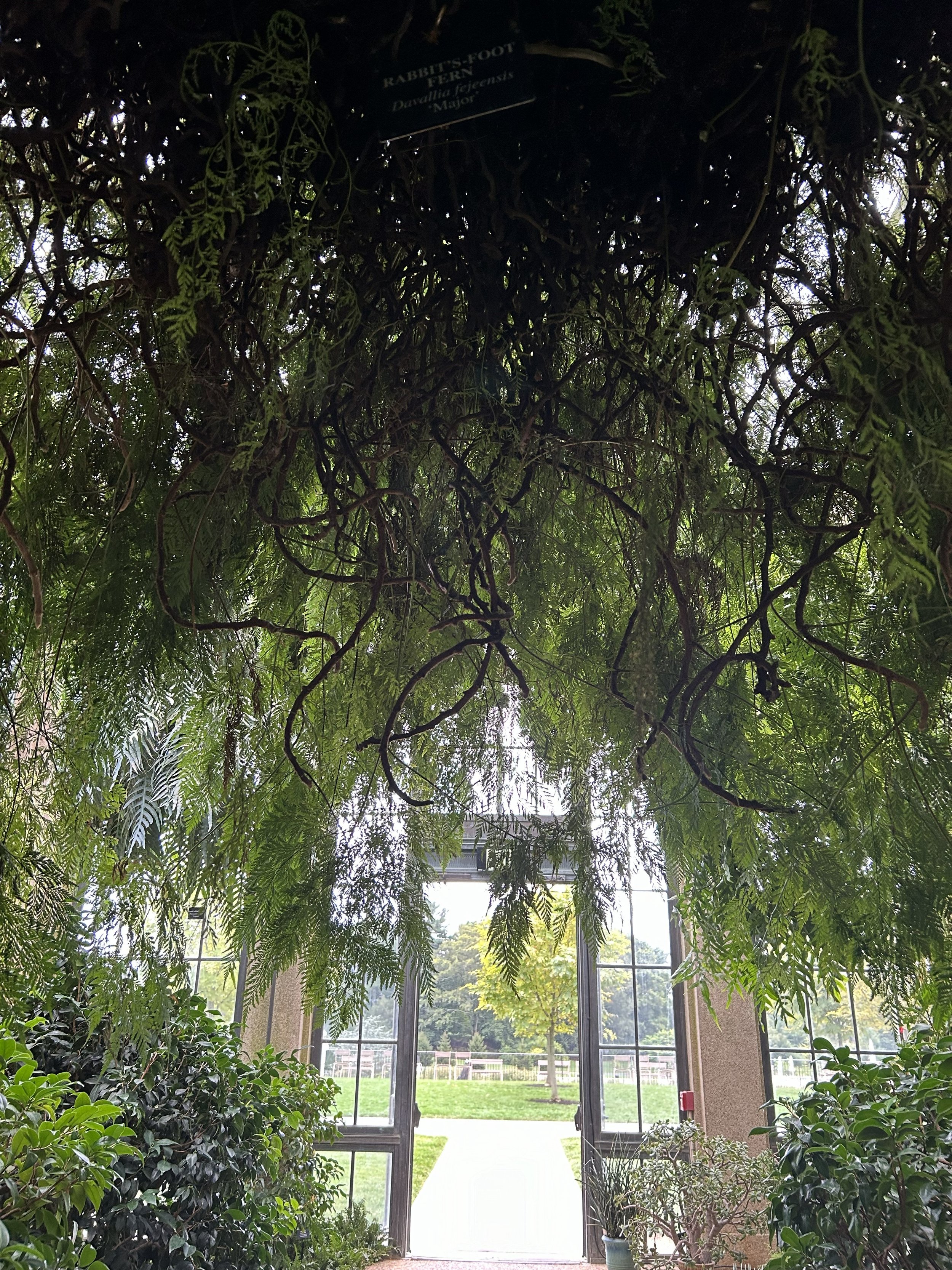 Soils, Substrates, and Sustainability