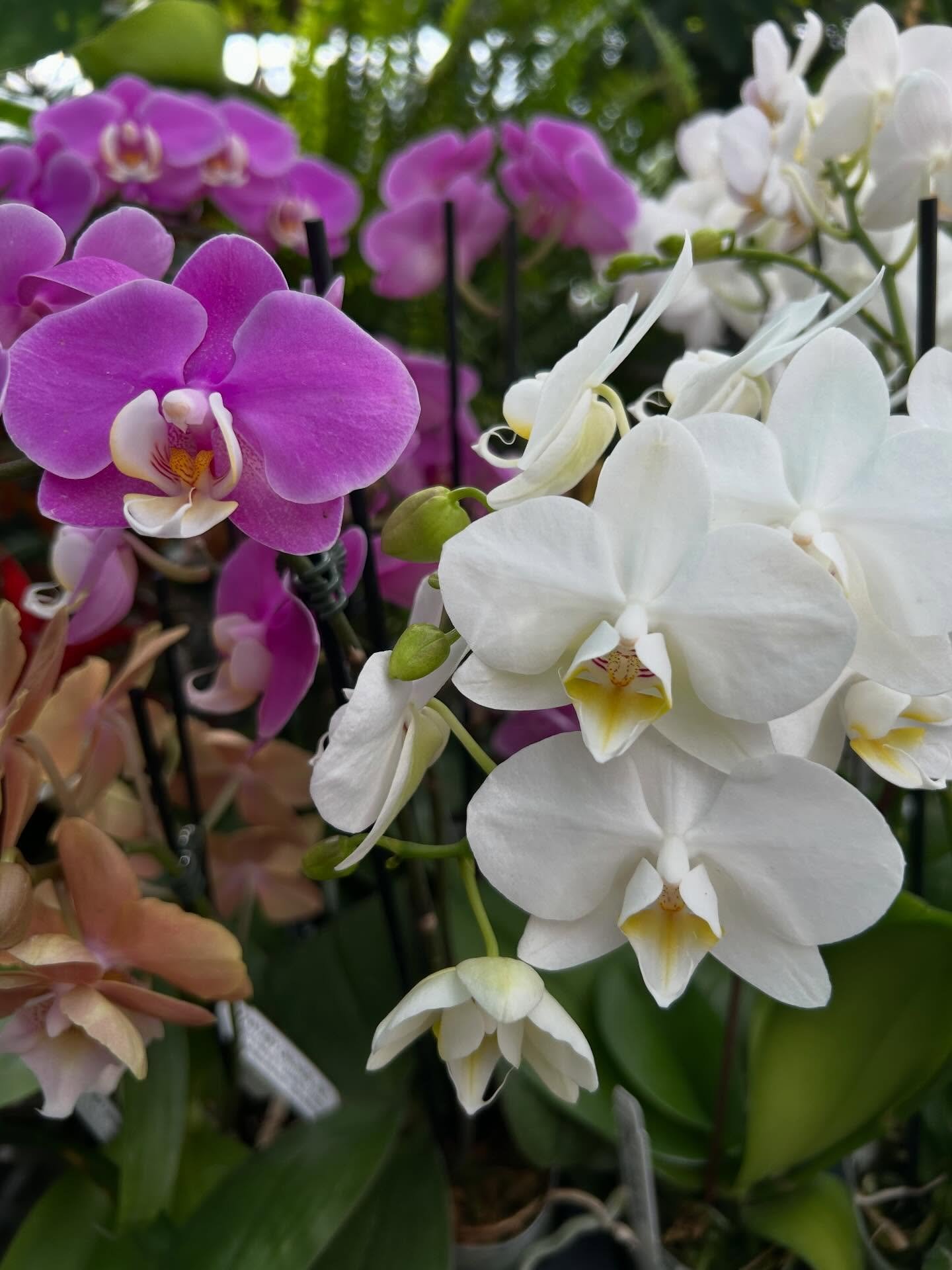 Simple and beautiful