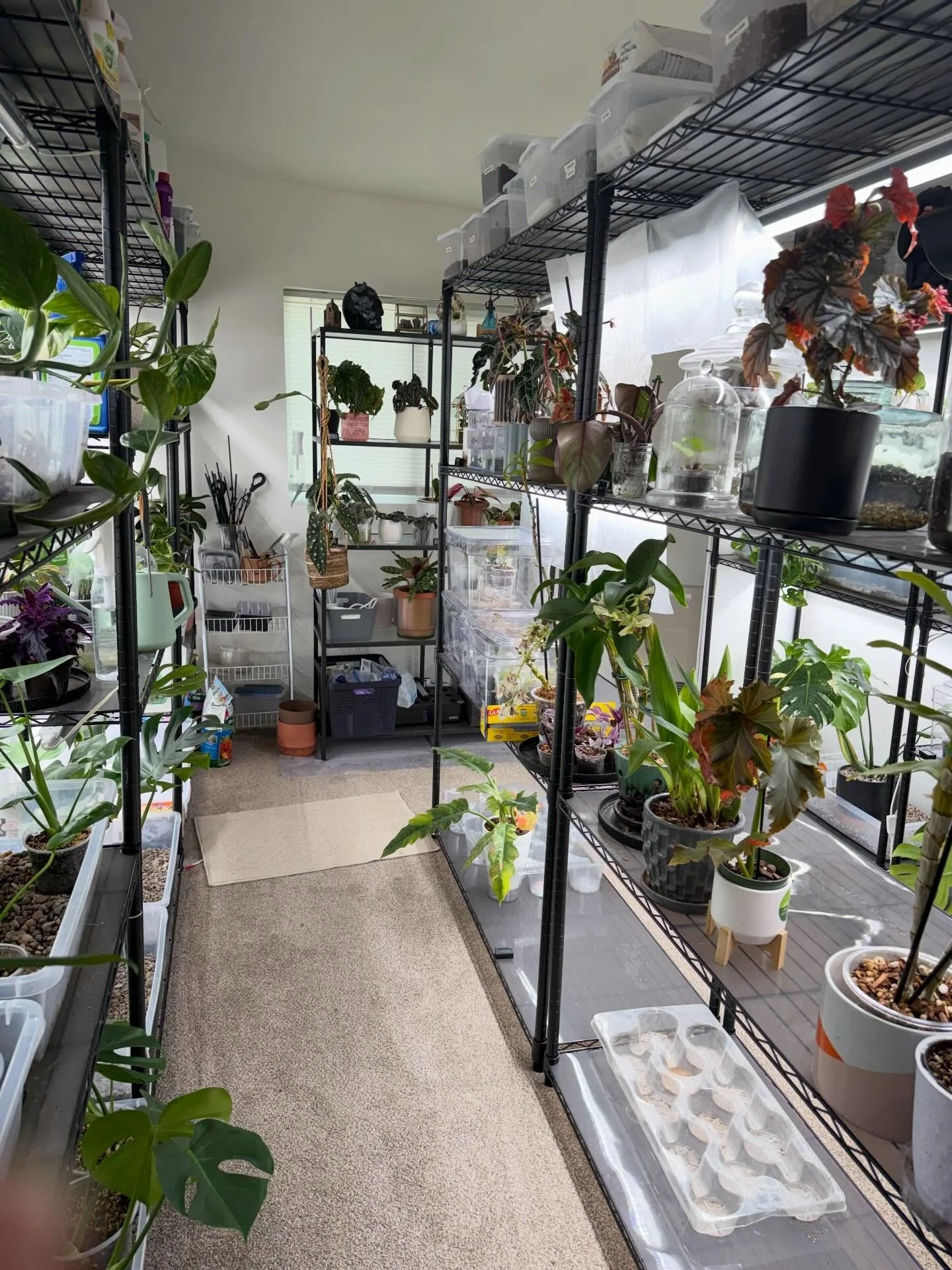Working in the grow room today 🌱