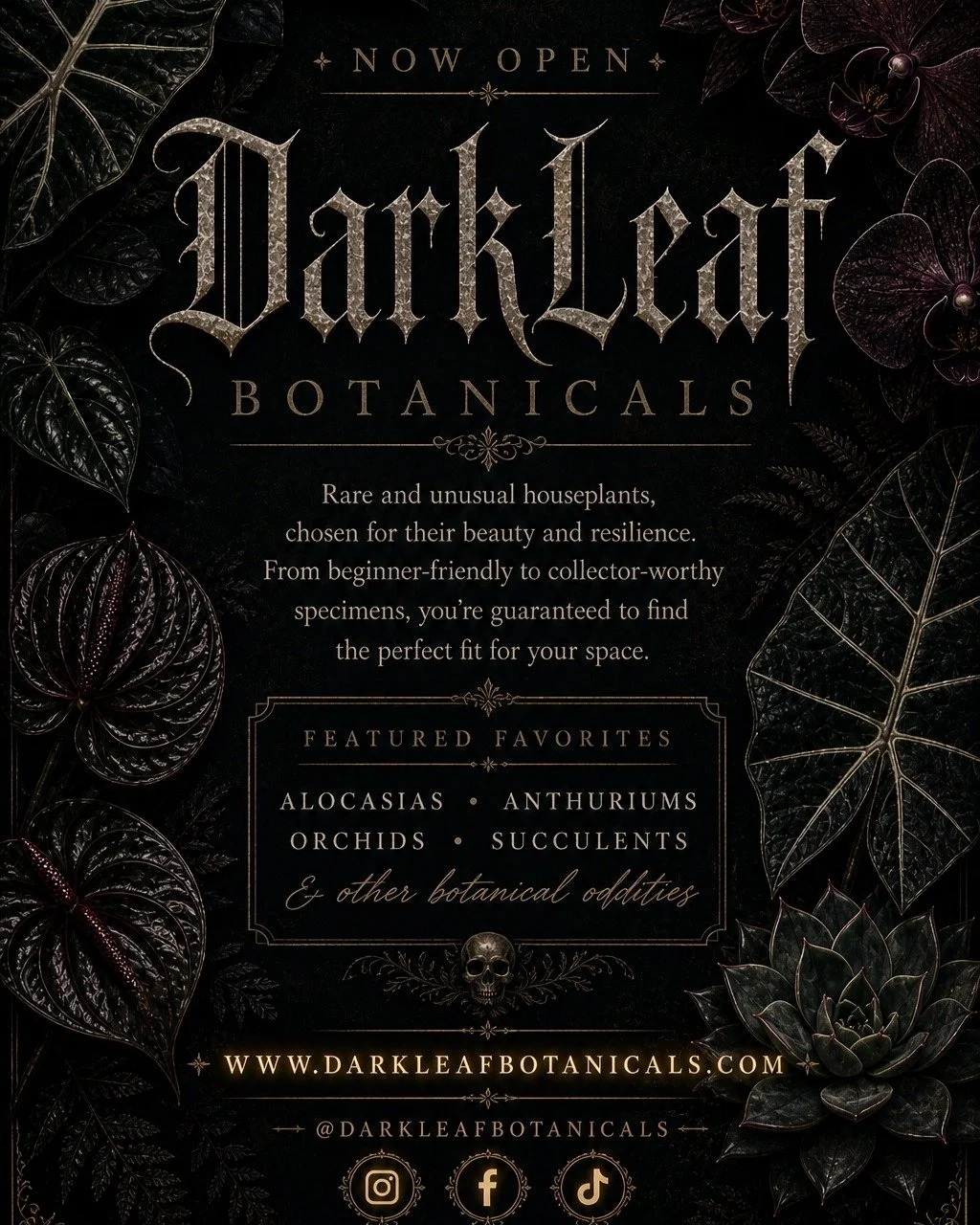 Our website is live -- Explore the shop, browse the blog, and find what thrives in your space!

Come visit us and other vendors on Sunday, May 17th at Cake's Cafe in Santa Fe, NM! 
10am-2pm
227 Galisteo St.

www.darkleafbotanicals.com