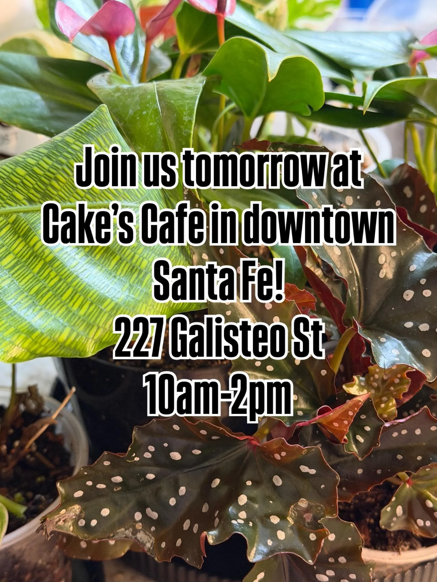 Come make your next plant purchase!
