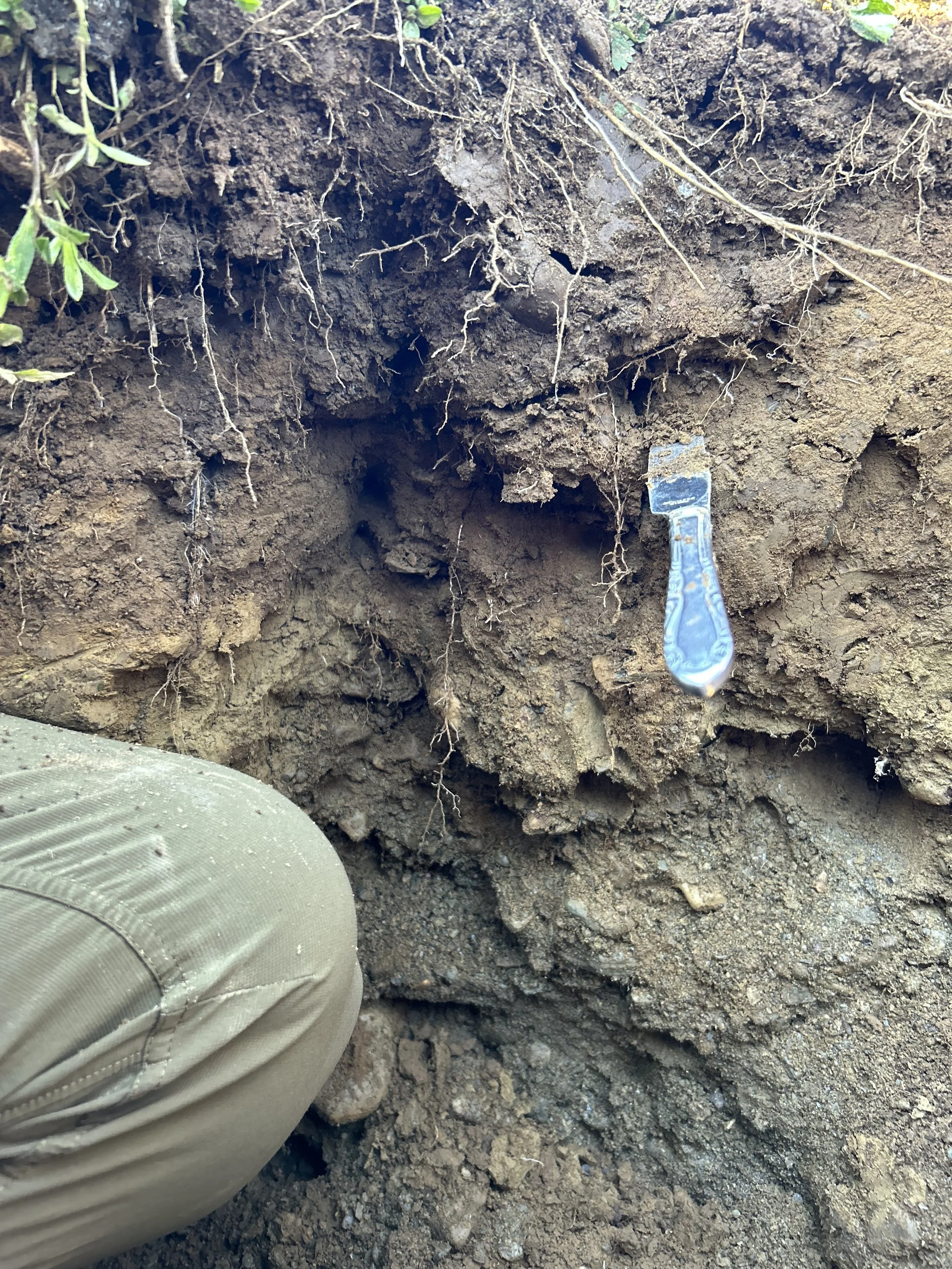 Diagnostique des sols