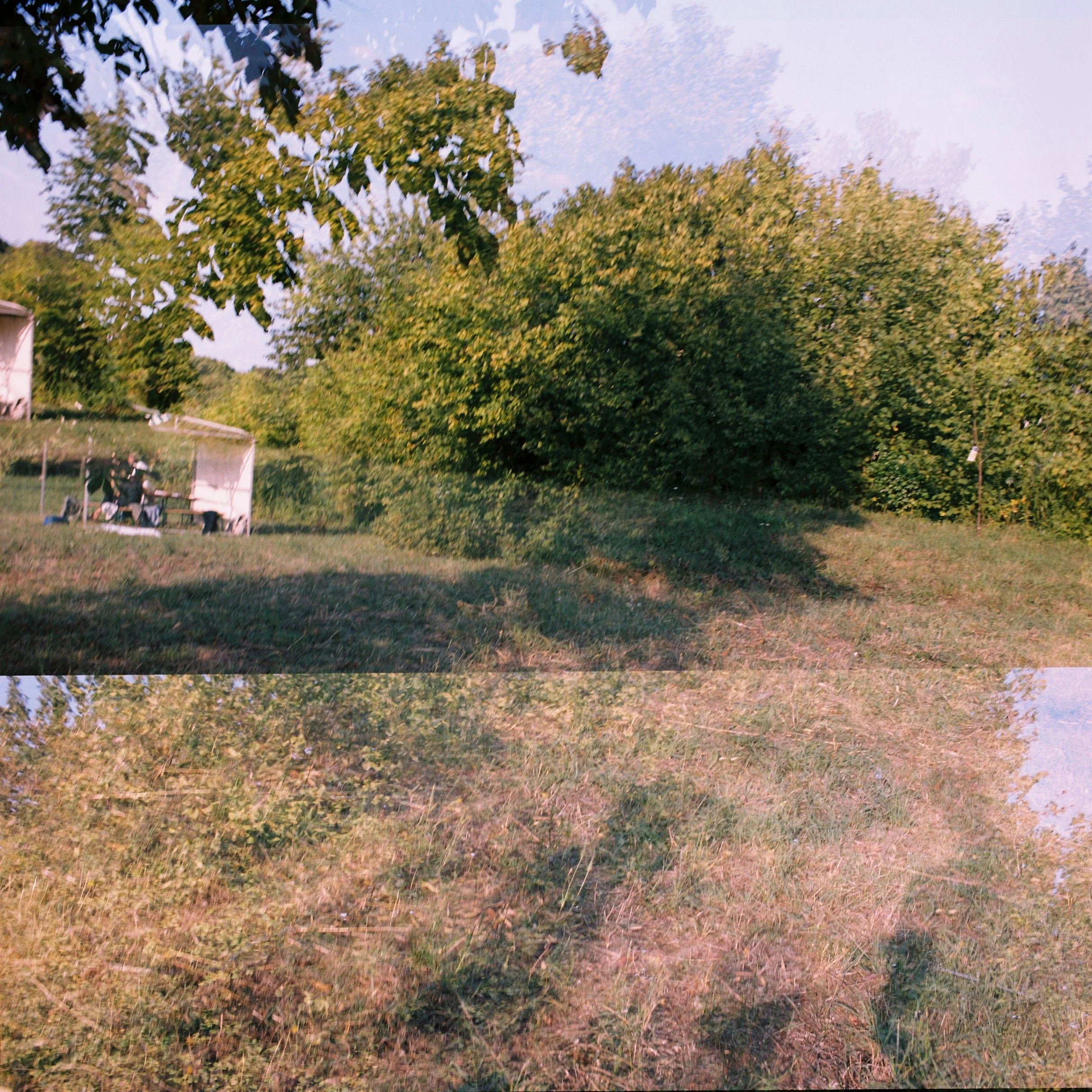 C038185-R1-04-5.JPG