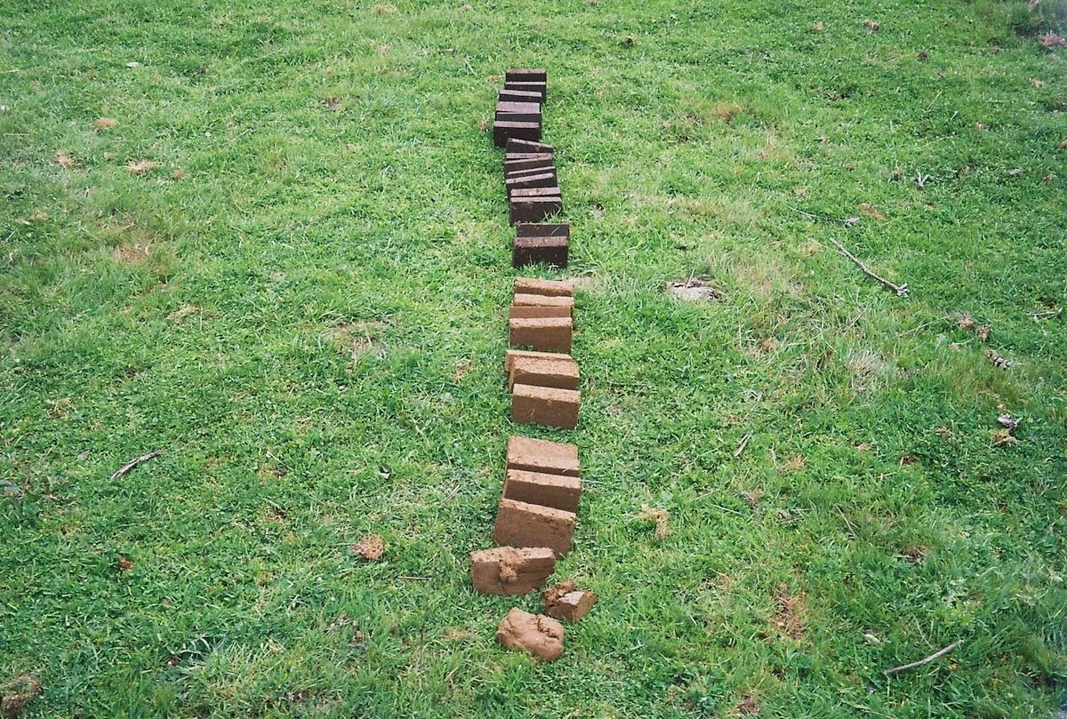 05.jpg