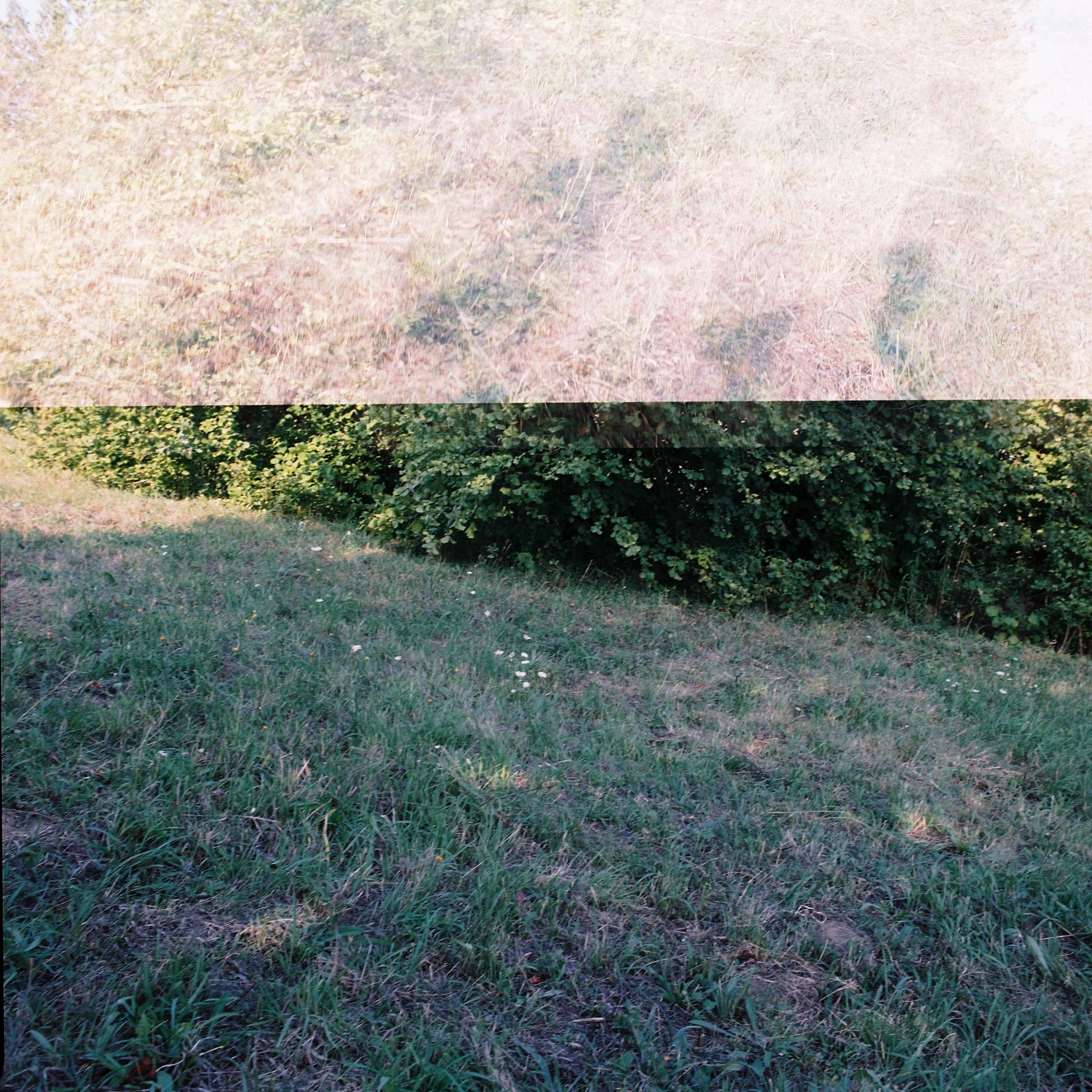 C038185-R1-03-4.JPG
