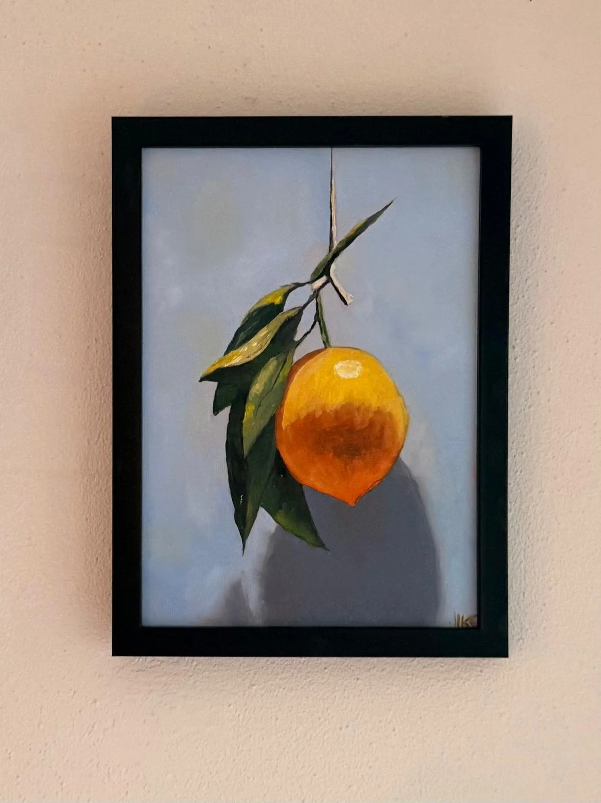 WhatsApp Image 2026-03-23 at 13.16.47.jpeg