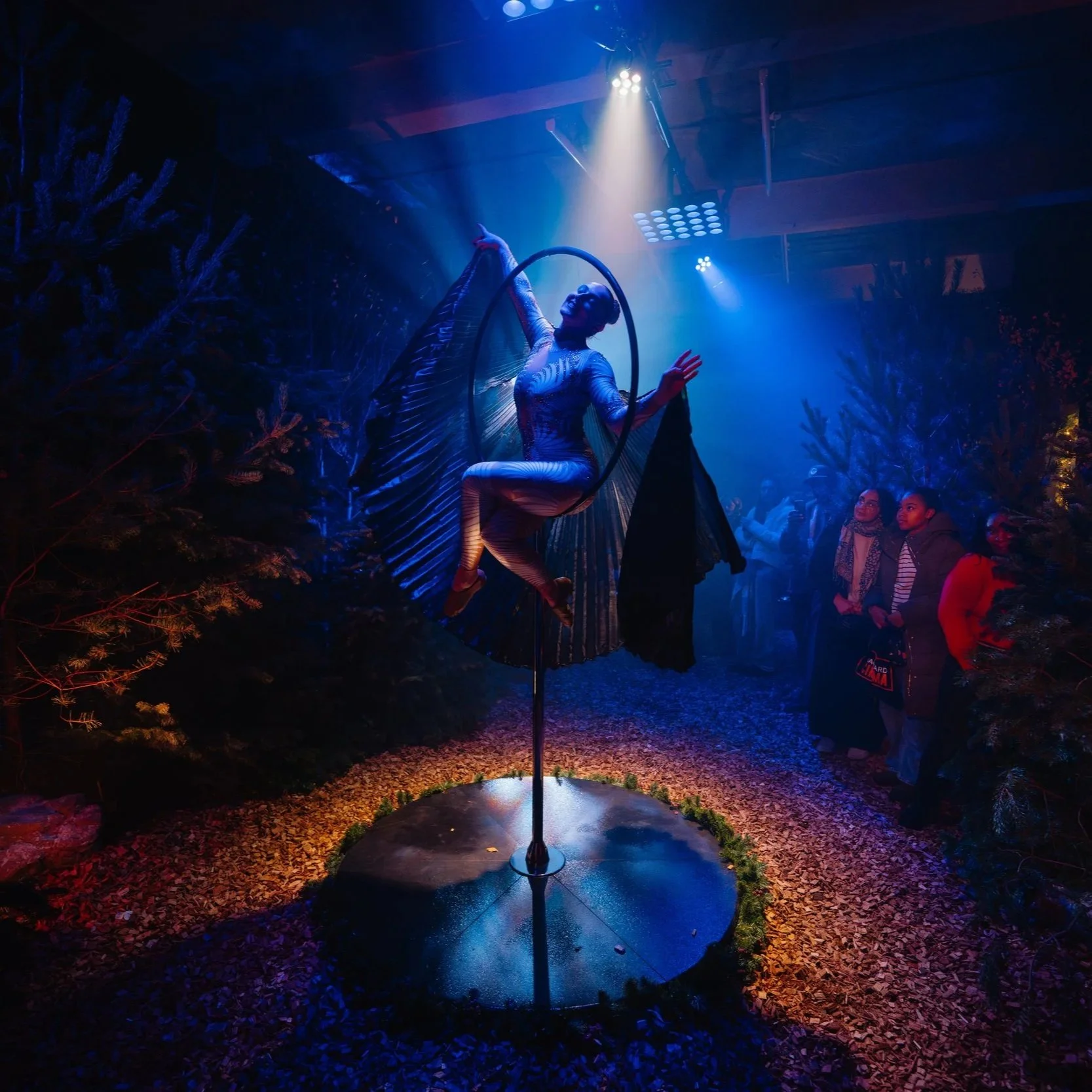 A performer dressed in a shiny, striped costume posing on a circular platform with a hoop, under dramatic blue and yellow lighting, surrounded by audience members in a dark setting with pine trees.