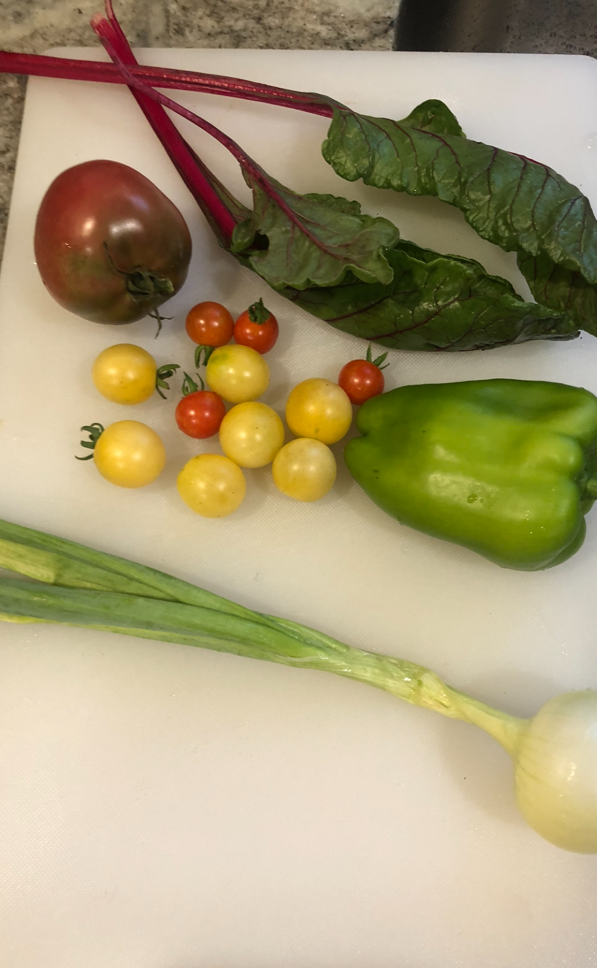 garden fresh organic vegetables from annual raised garden beds Henrico, VA