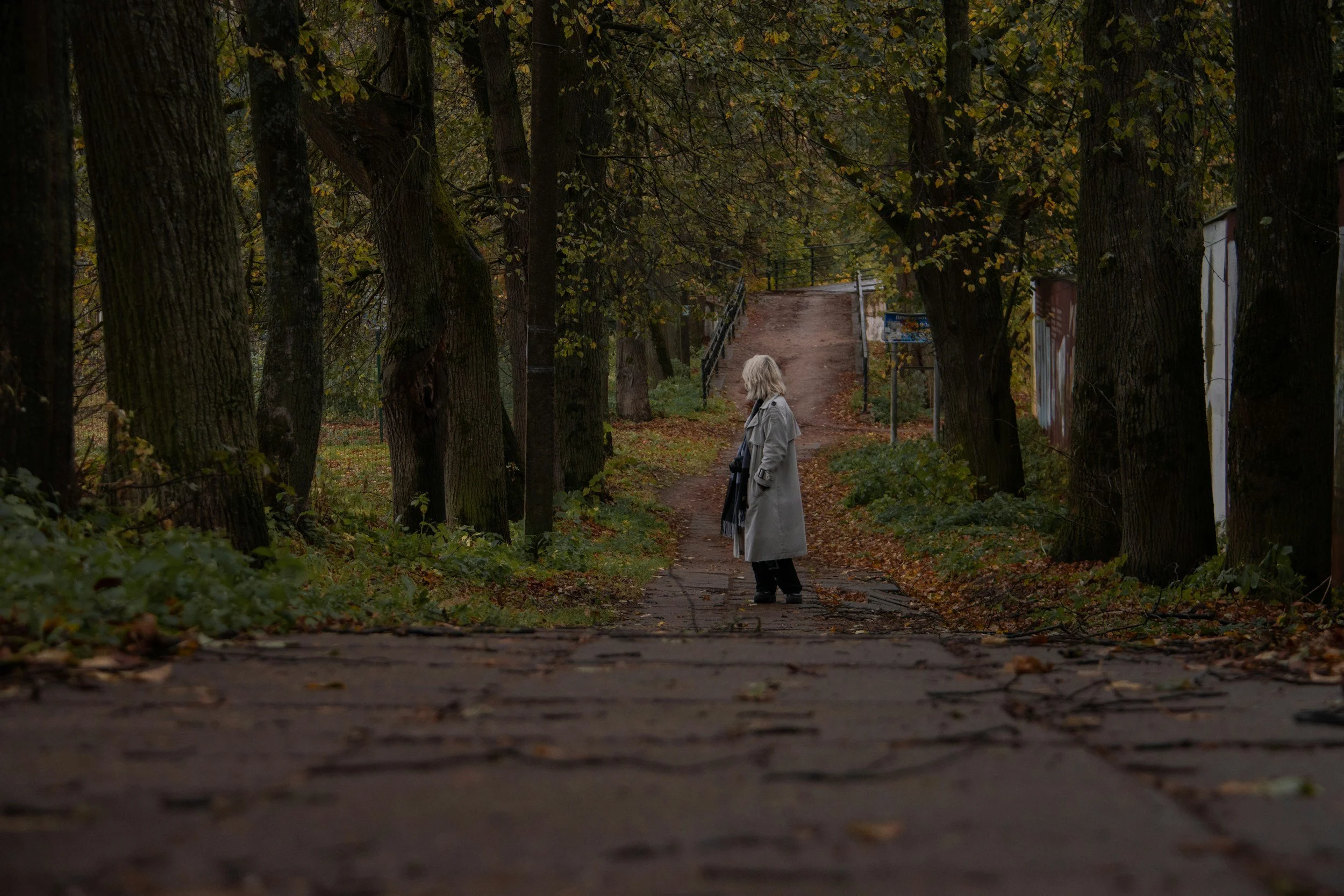 Autumn Anxiety: Why Fall Transitions Stir Things Up (And What Helps)