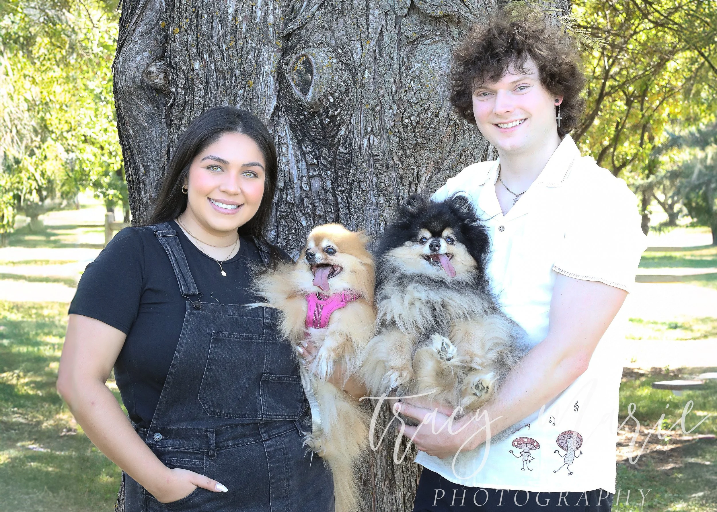 Nick + Paula + Lulu + Harvey | Family