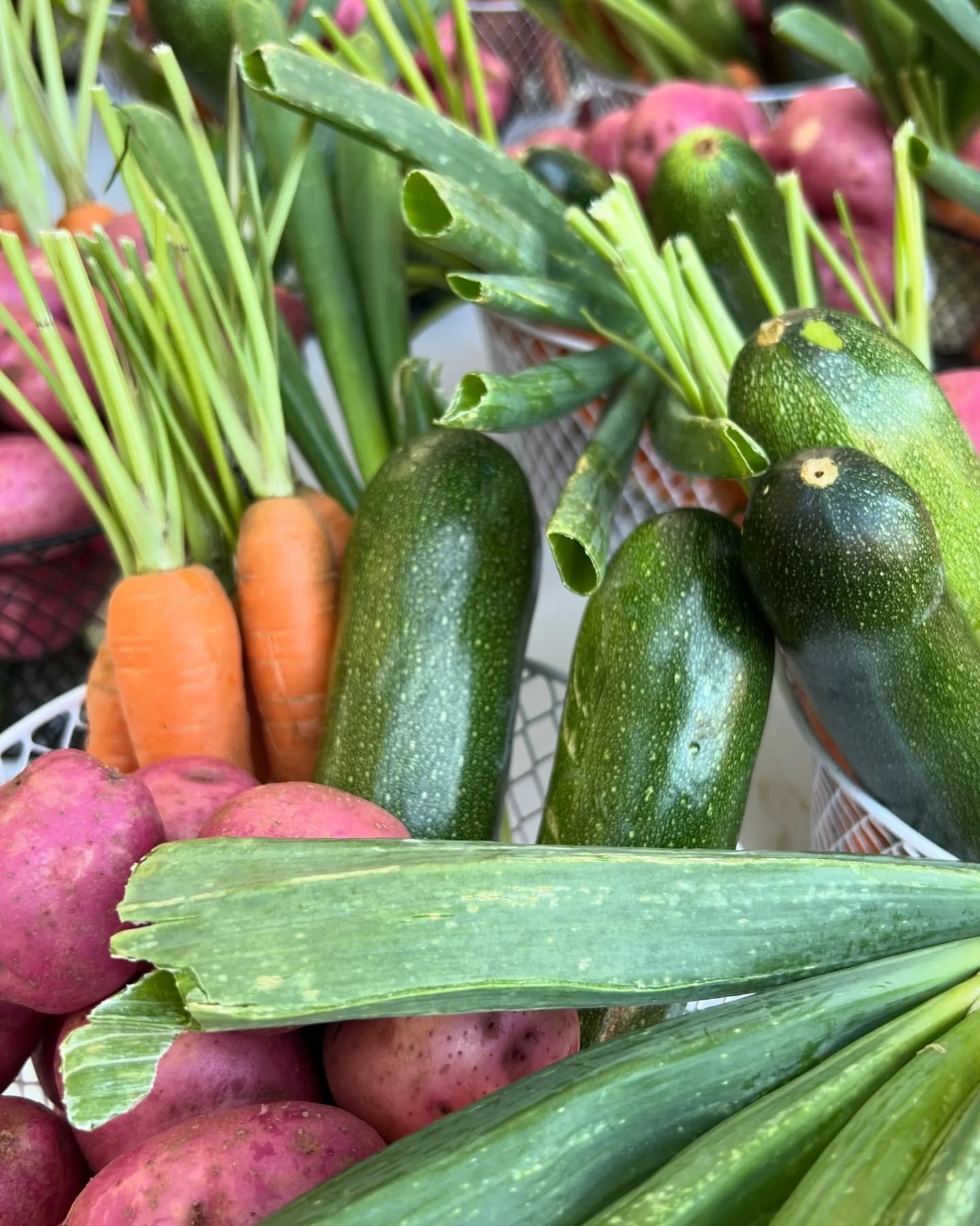 Fresh carrots, zucchinis, potatoes, corn, and sweet potatoes at a market.