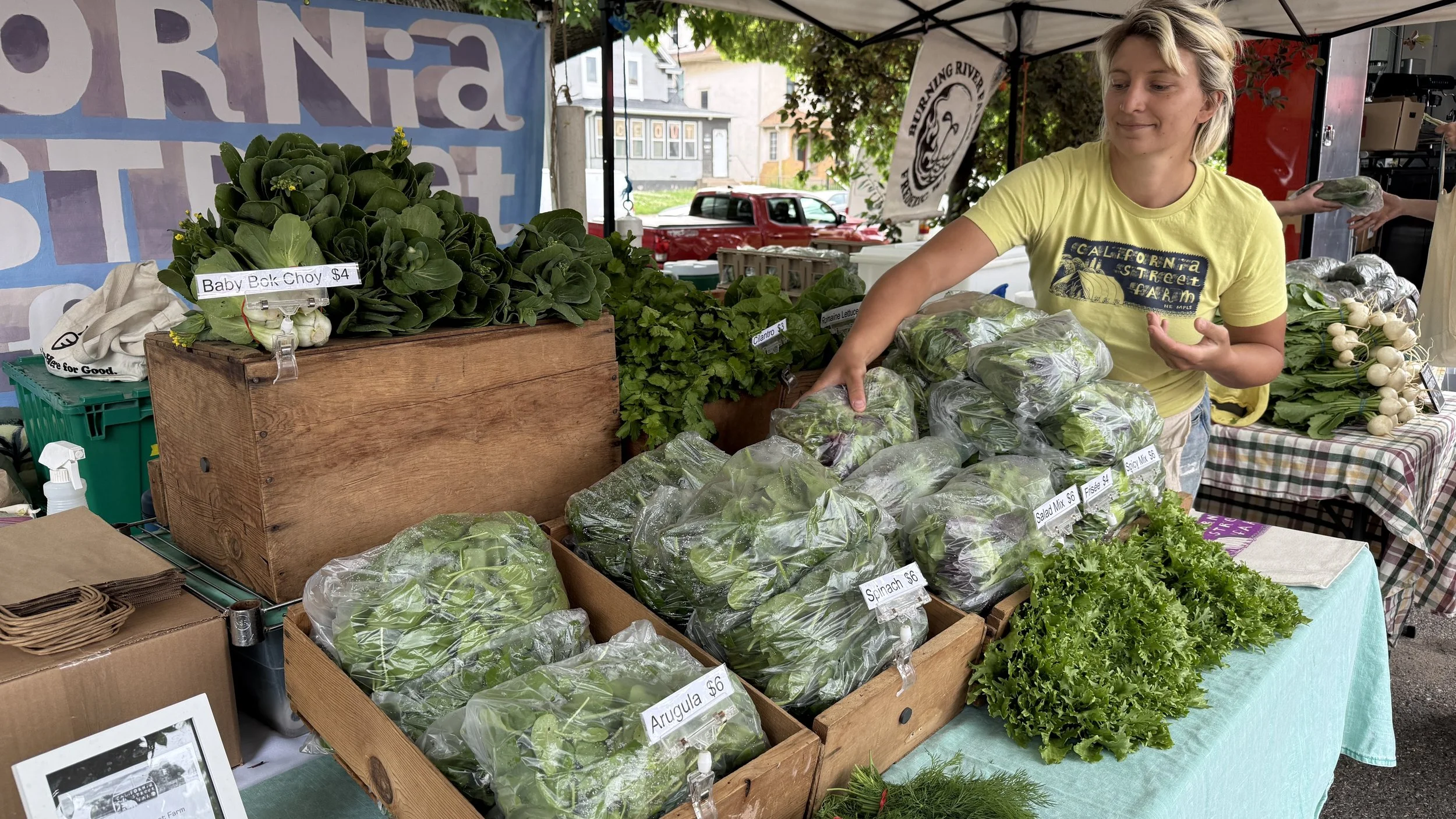 A woman at a farmer's market booth selling fresh vegetables, including lettuce, spinach, and arugula, with a young green leafy plant labeled 'Baby Bok Choy' for $4.