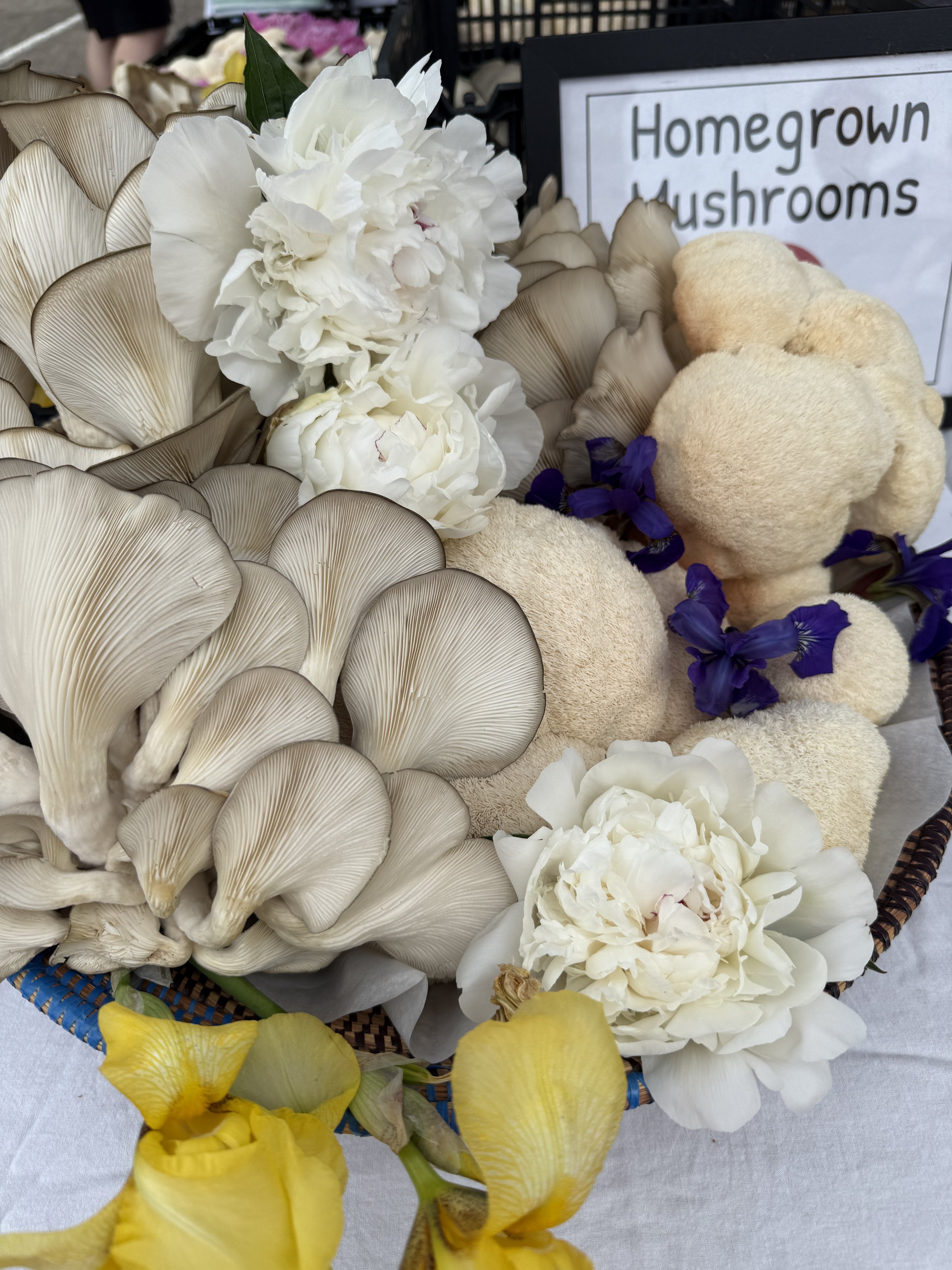 Basket of white and yellow flowers, beige mushrooms, and a sign that reads 'Homegrown Mushrooms'.
