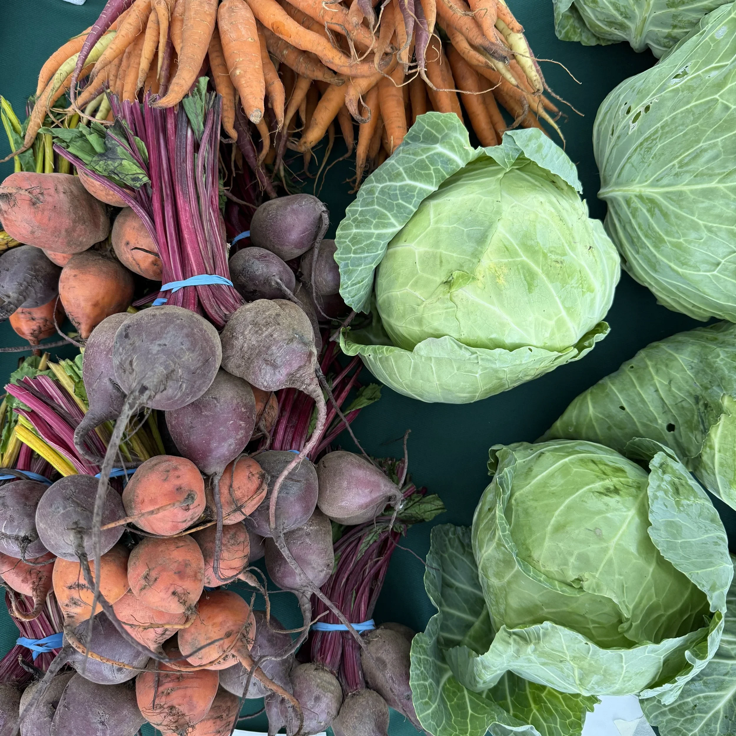 Fresh vegetables including carrots, beets, cabbage, and Swiss chard on a green surface.