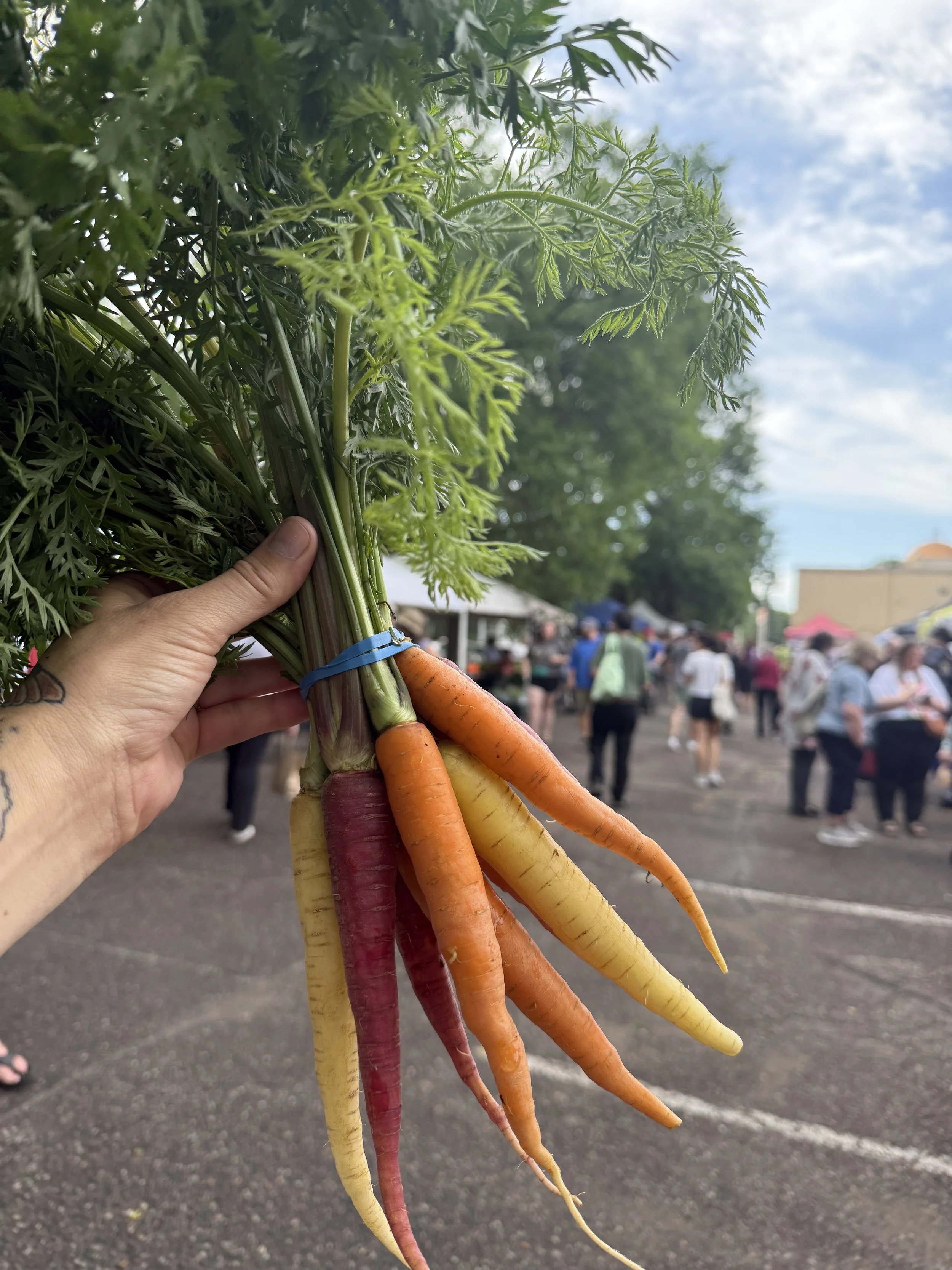 A person holding a bunch of multicolored carrots with green tops at an outdoor market, with people and tents in the background.