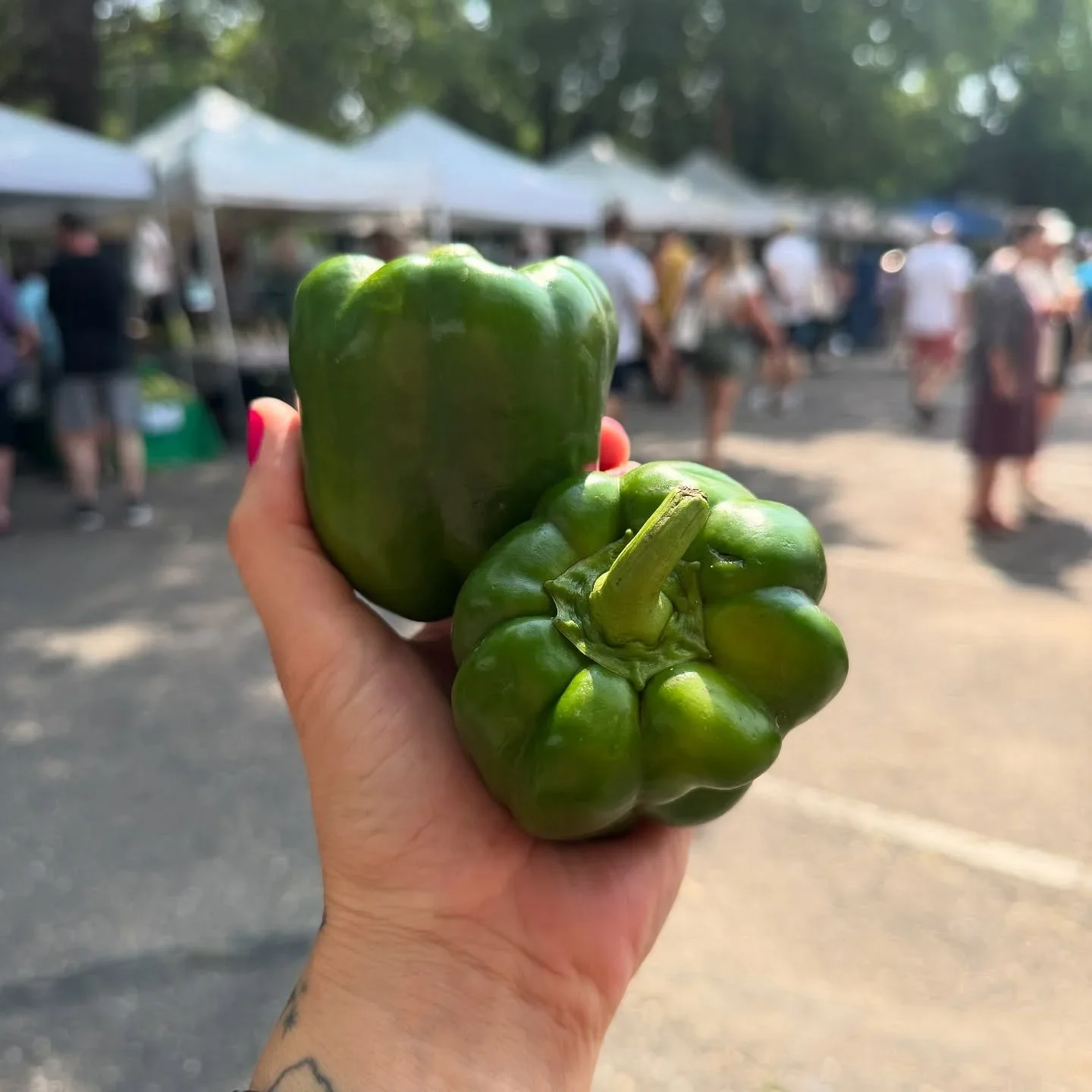 Hand holding two green bell peppers at an outdoor market, with tents and people in the background.