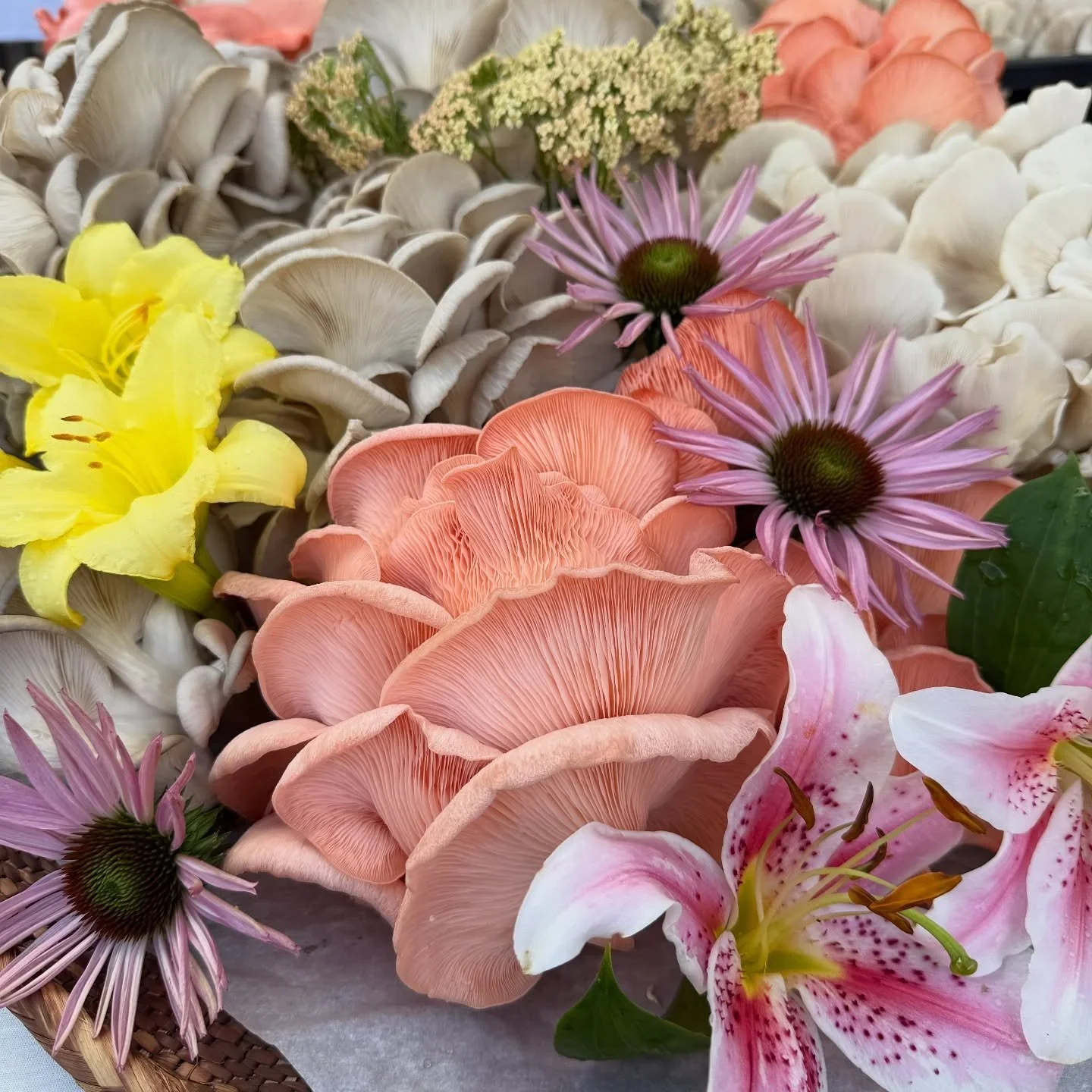 Decorative arrangement of various colorful flowers including pink lilies, purple coneflowers, peach and white mushrooms, and yellow and white orchids.