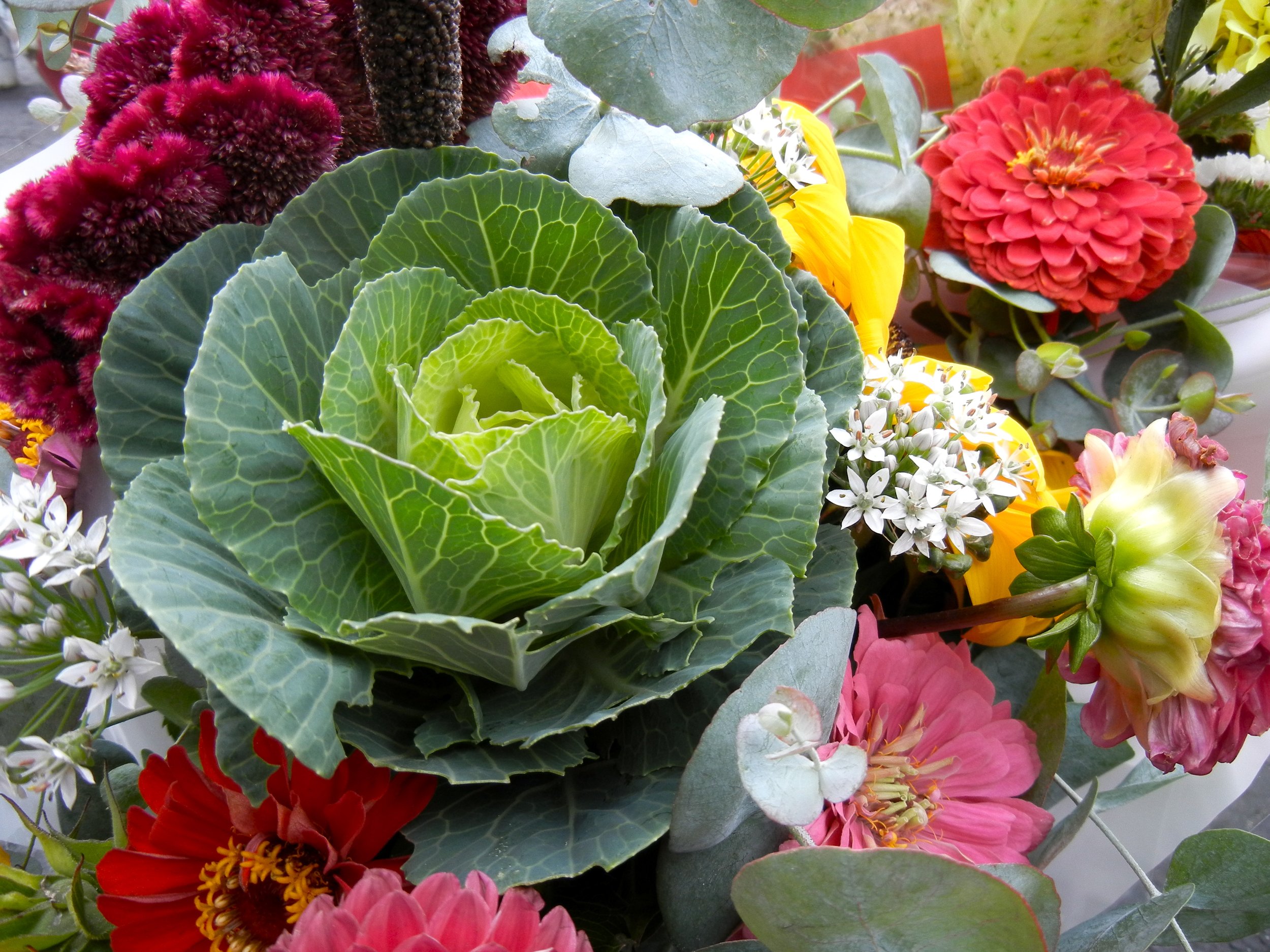 Close-up of a colorful bouquet of flowers including red, pink, yellow, and white blossoms with green leaves.