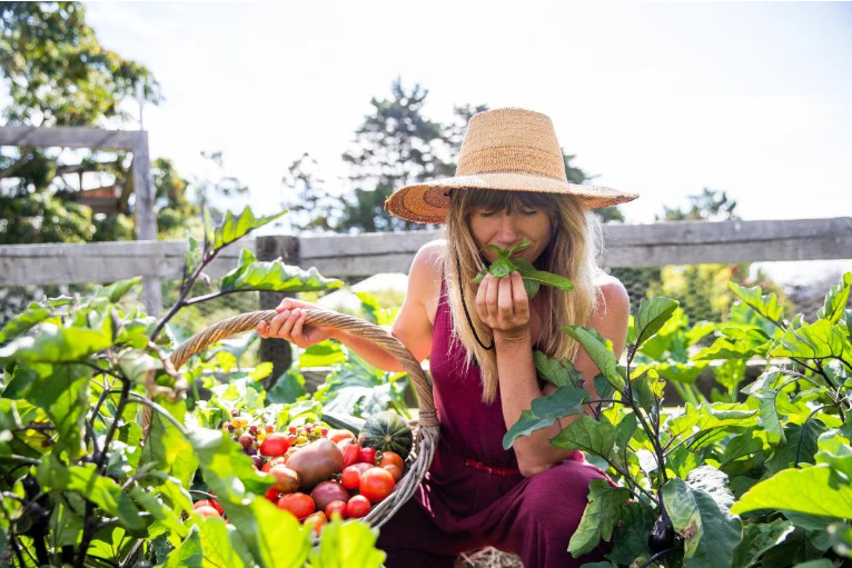 One-page Squarespace website design for a hospitality, eco farm, permaculture or food business
