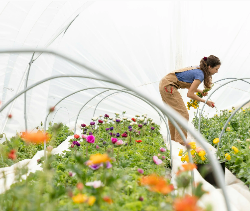 One-page Squarespace website design for a farm or community project