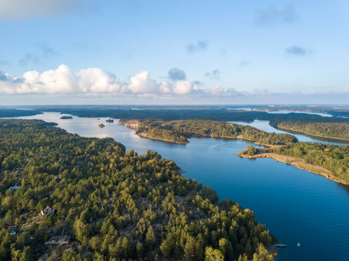 Aerial view of a river meandering through a forested landscape with scattered houses, under a partly cloudy sky.