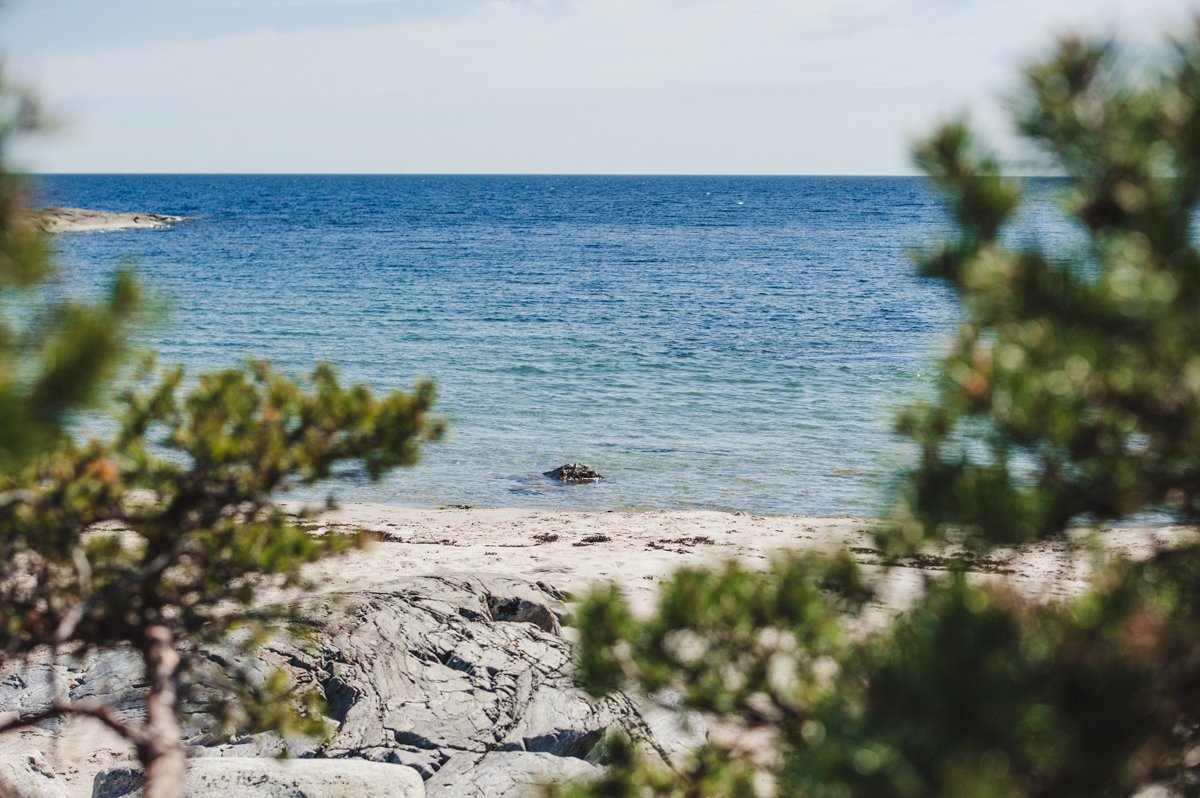 View of the ocean with a beach and rocks in the foreground, framed by tree branches.