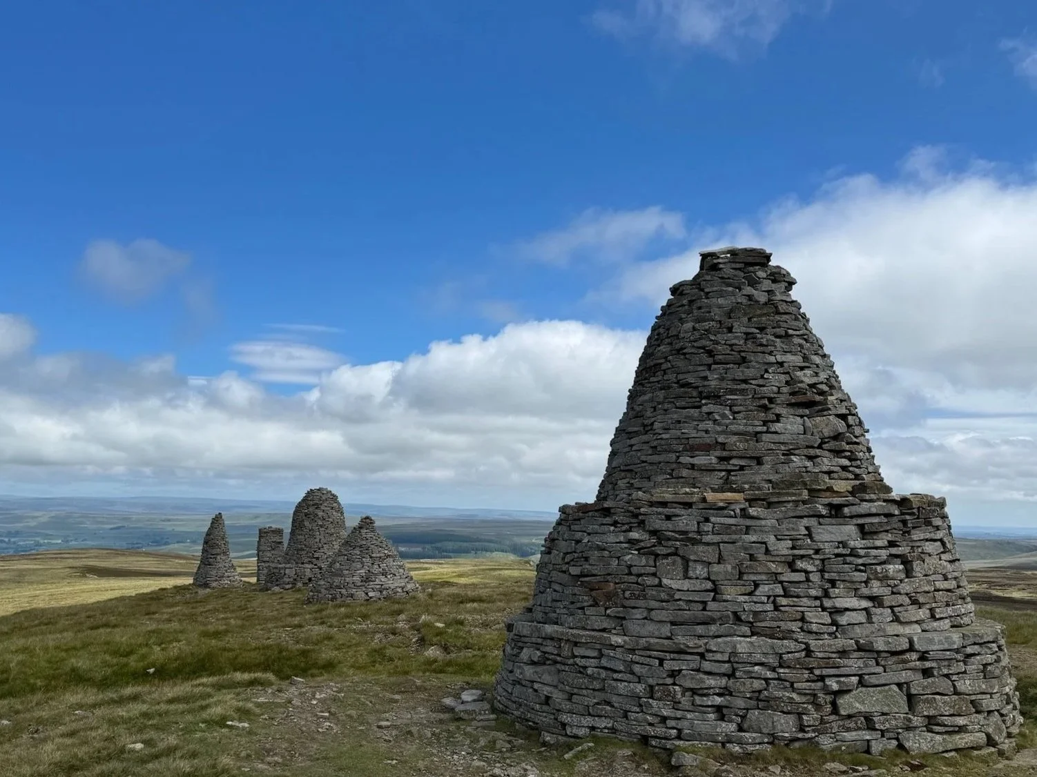 Constructing Resilience Through Procurement