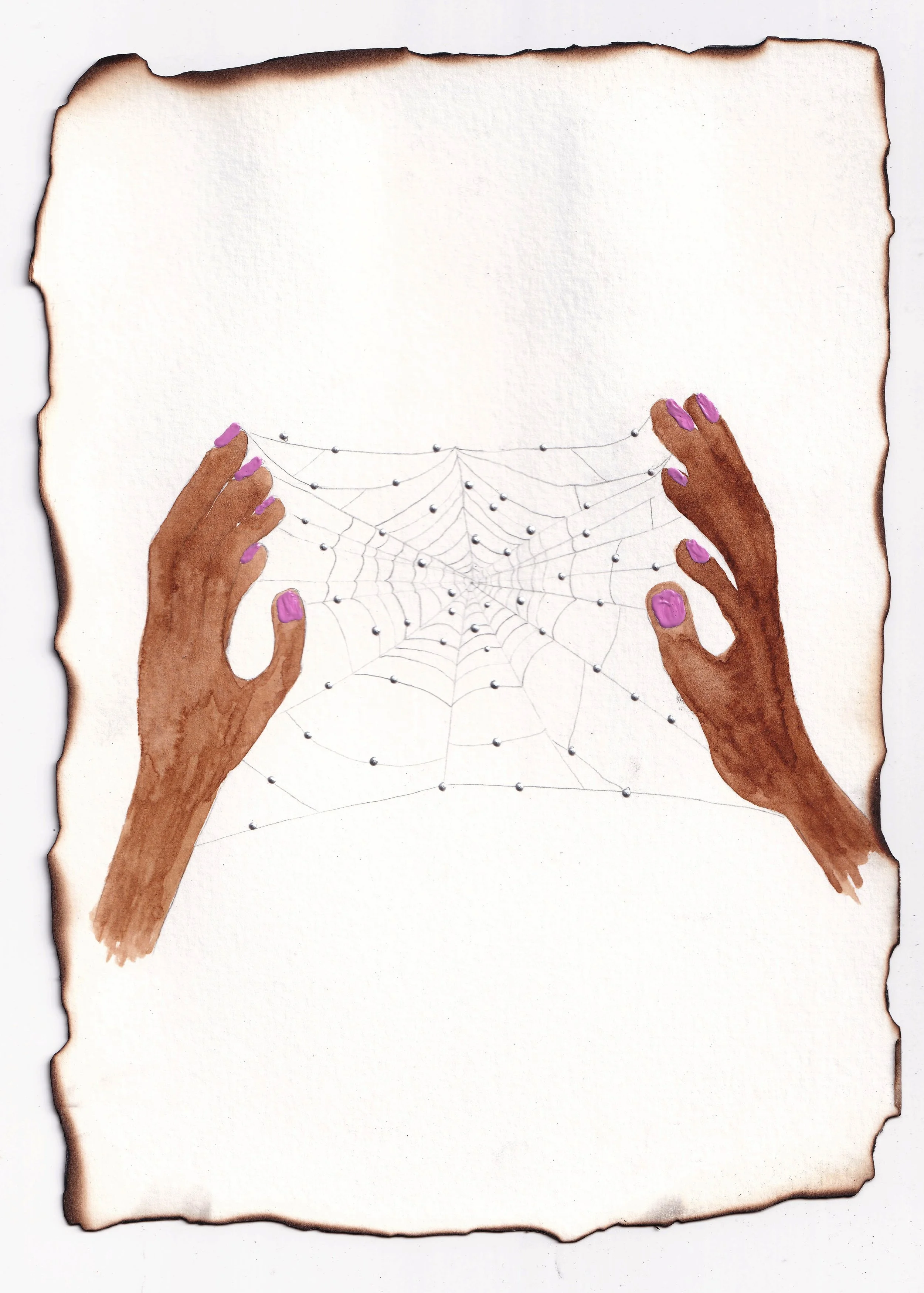 the web edit.jpg