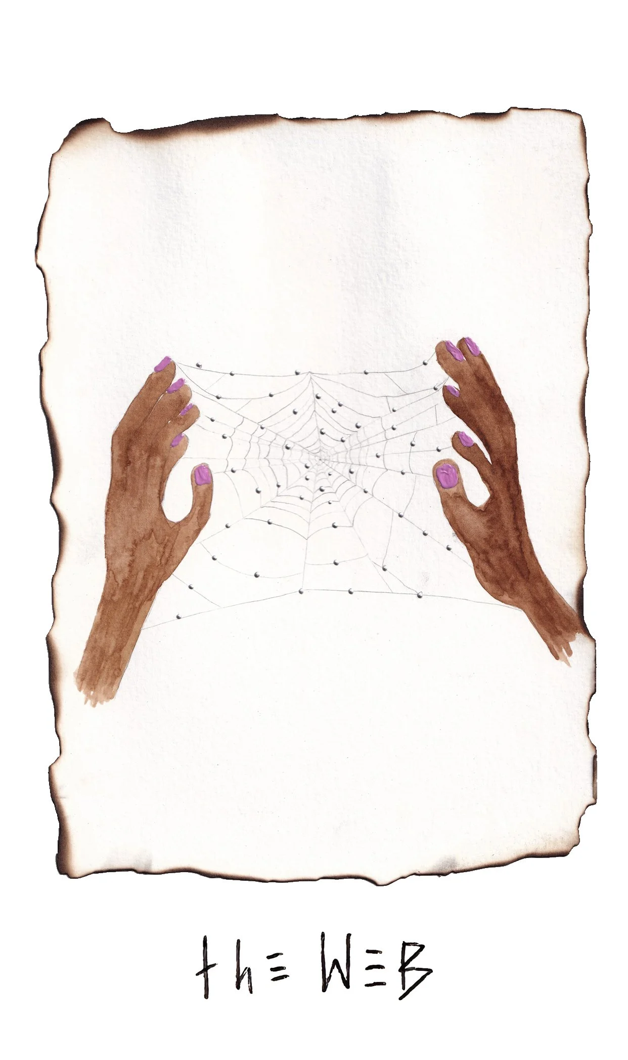 the web.jpg