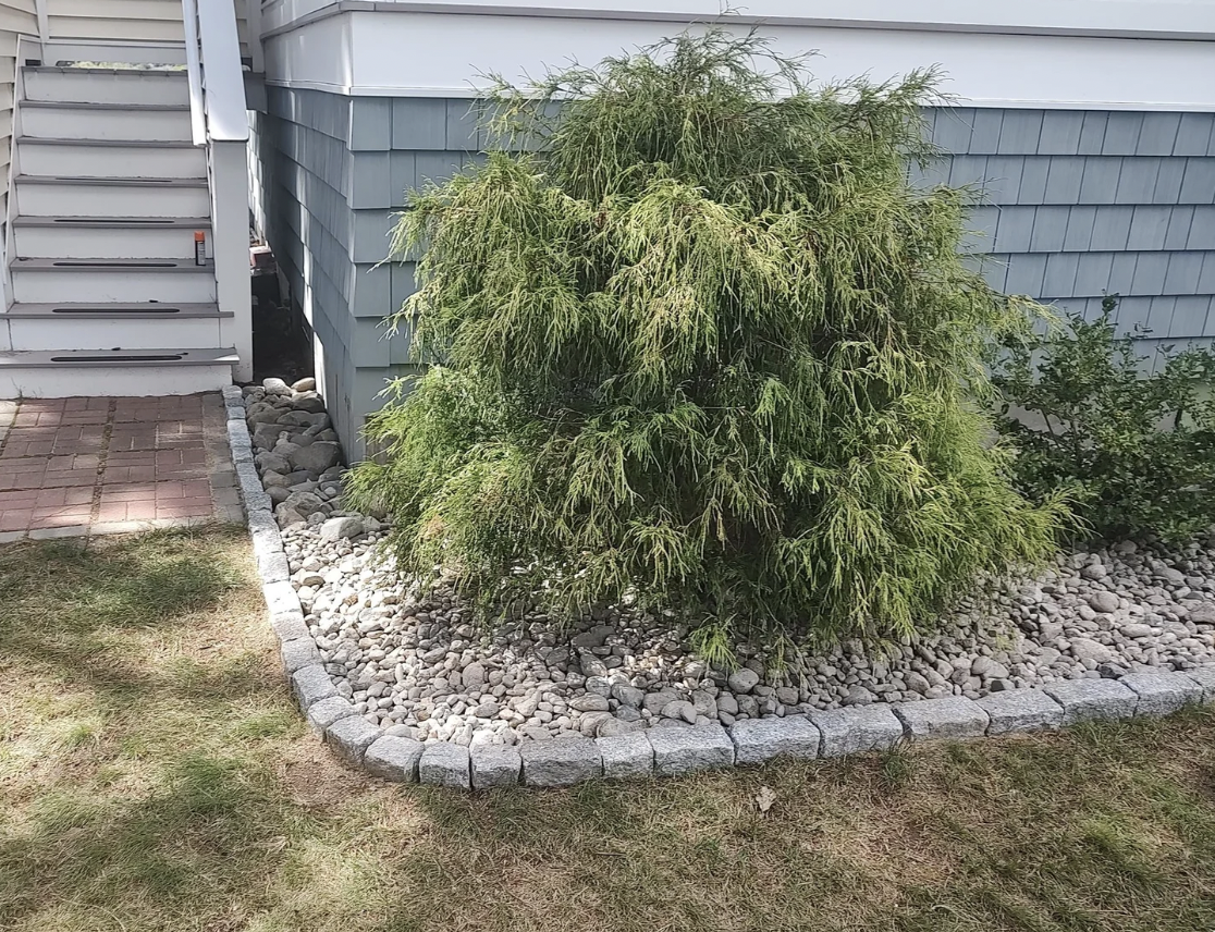 Screen Shot 2026-03-12 at 1.34.49 PM.png