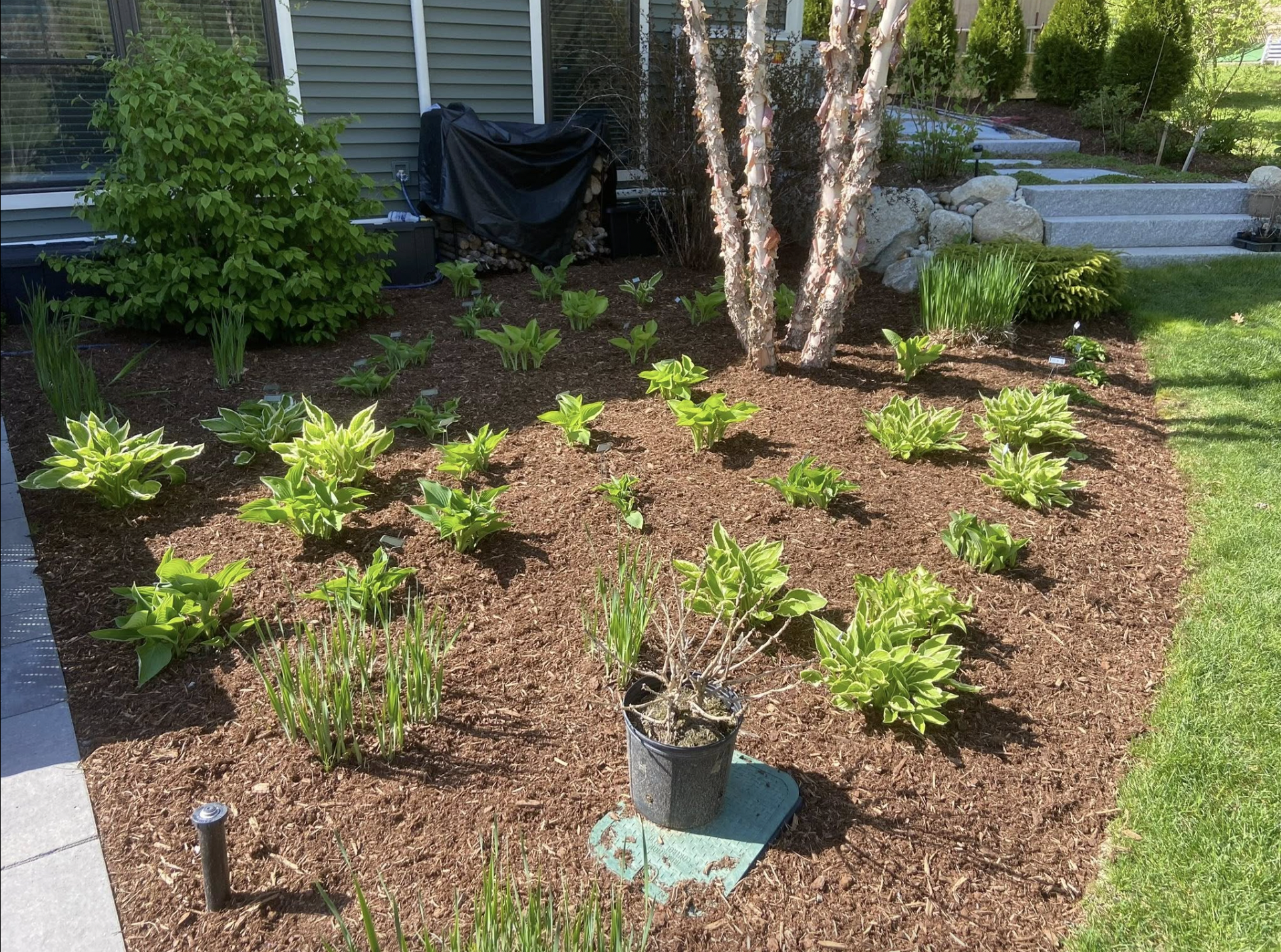 Screen Shot 2026-03-12 at 1.53.44 PM.png